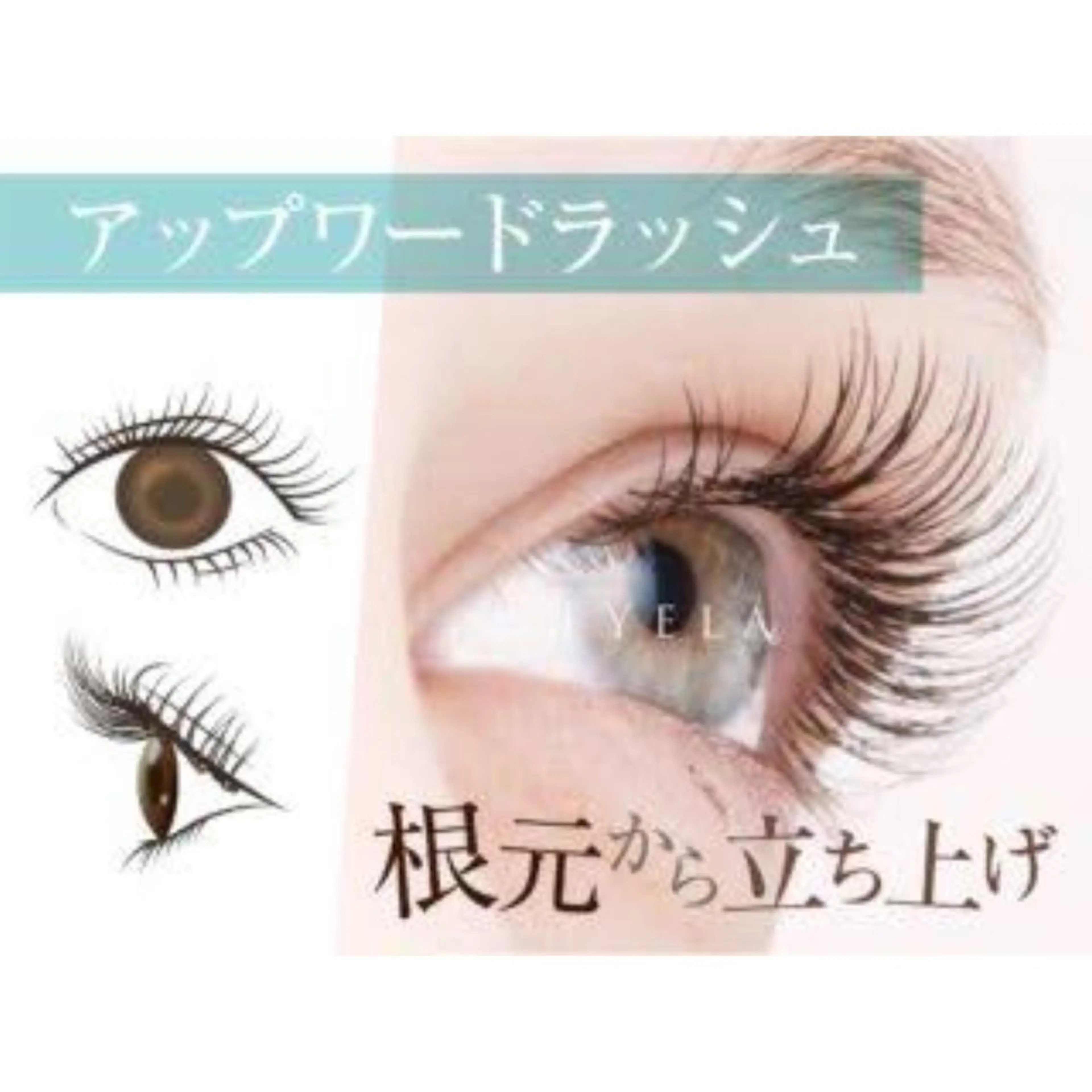 マツエク・マツパ アップワードラッシュ EYELA甲府昭和 hiraiのマツエク・マツパデザイン