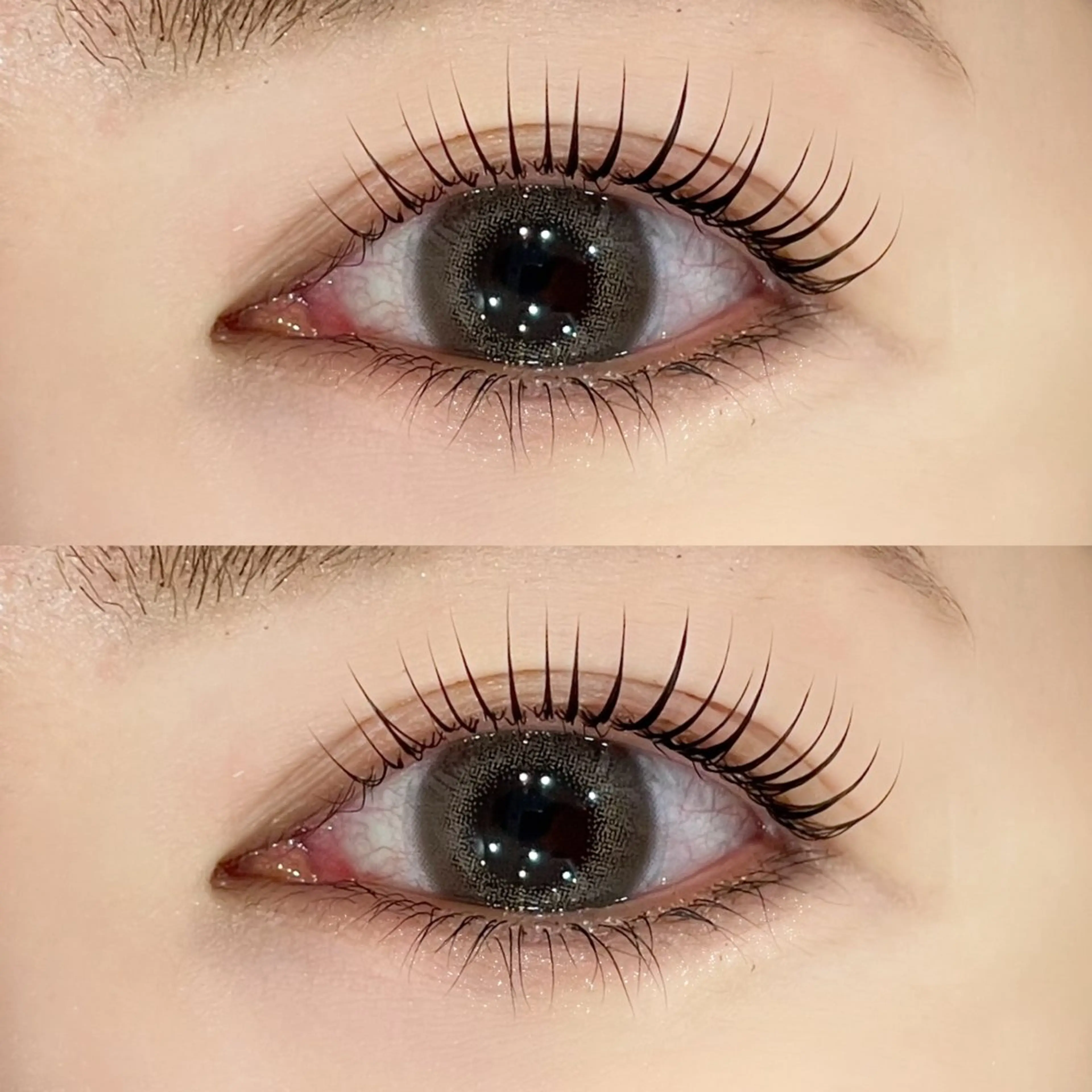 《12月ご来店限定》韓国風束感🎀デザインまつげパーマ🤍の写真