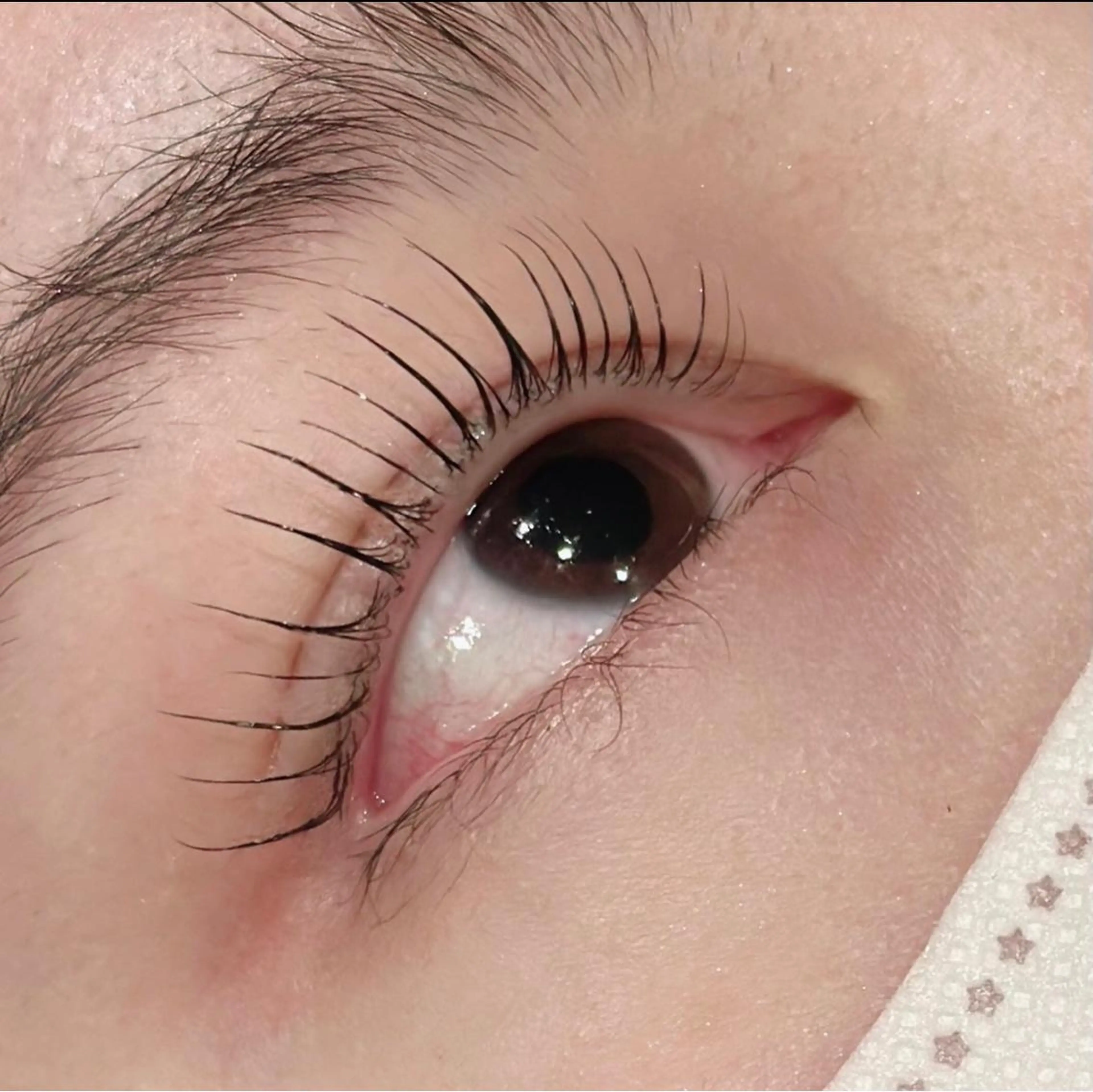 マツエク・マツパ アイブロウ 一重×まつ毛パーマ TOP  BROW所属・TOPBROW IORIのマツエク・マツパデザイン