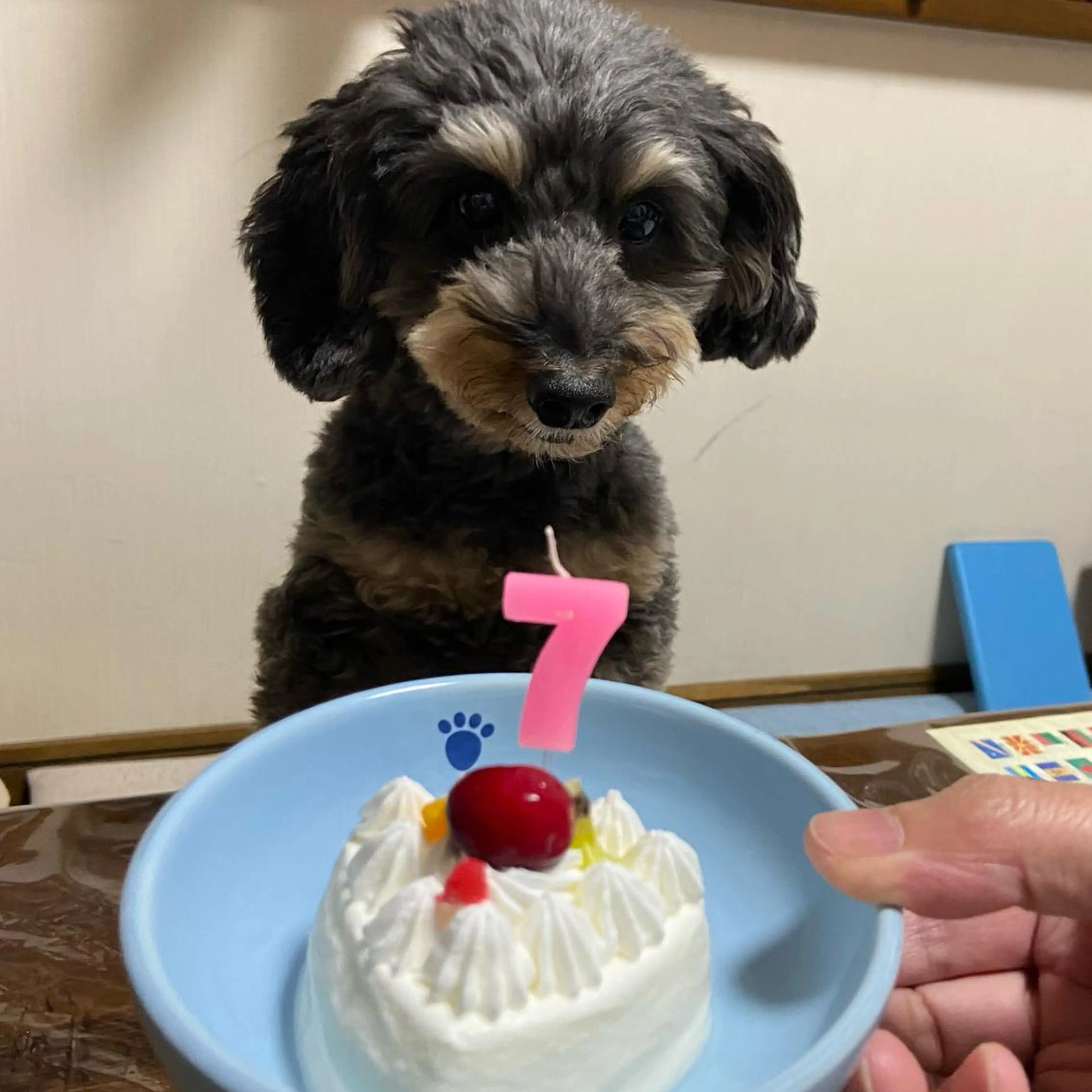 TIDEHAIR SHIHOのヘアスタイル