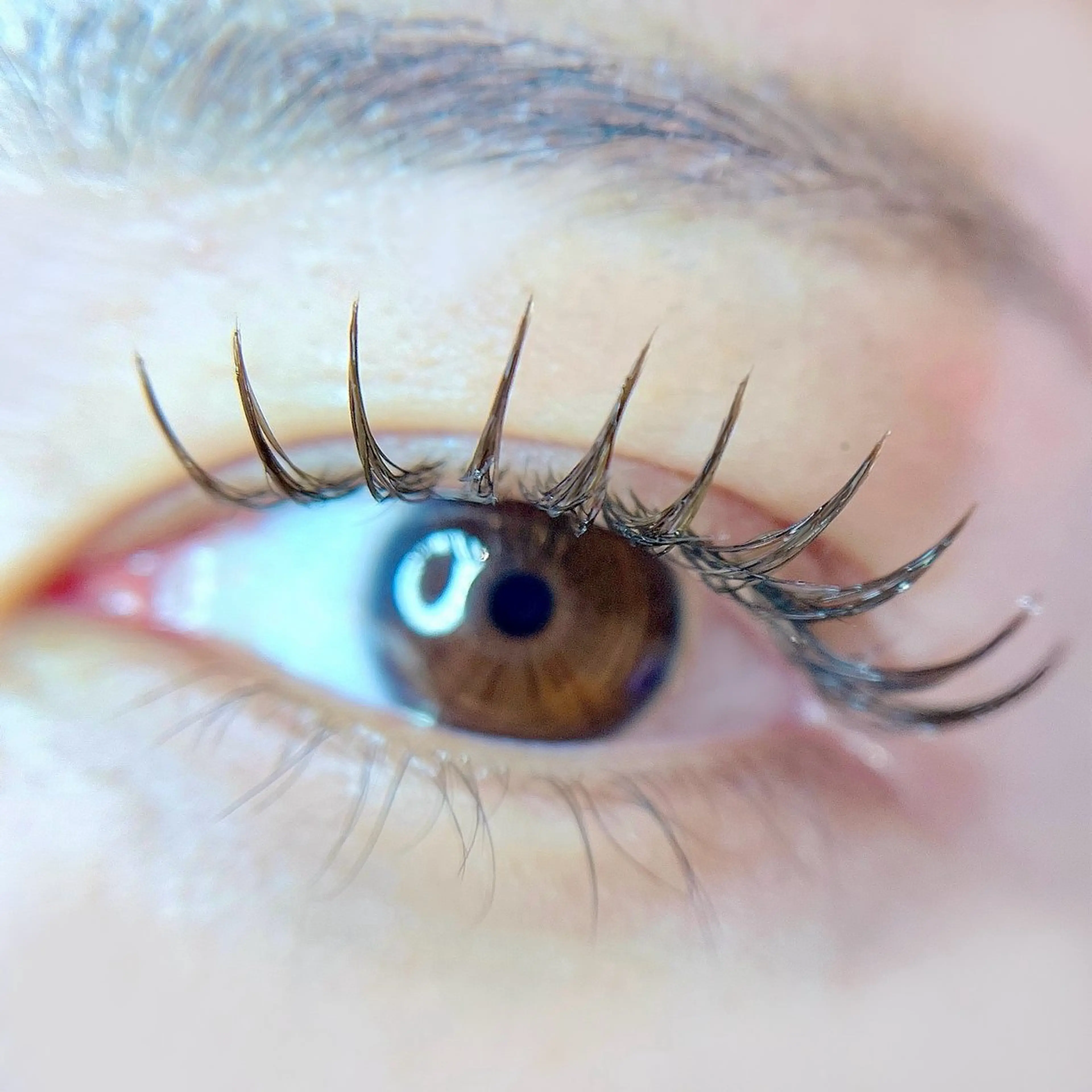 フラットラッシュ80​〜​100本🌷の写真