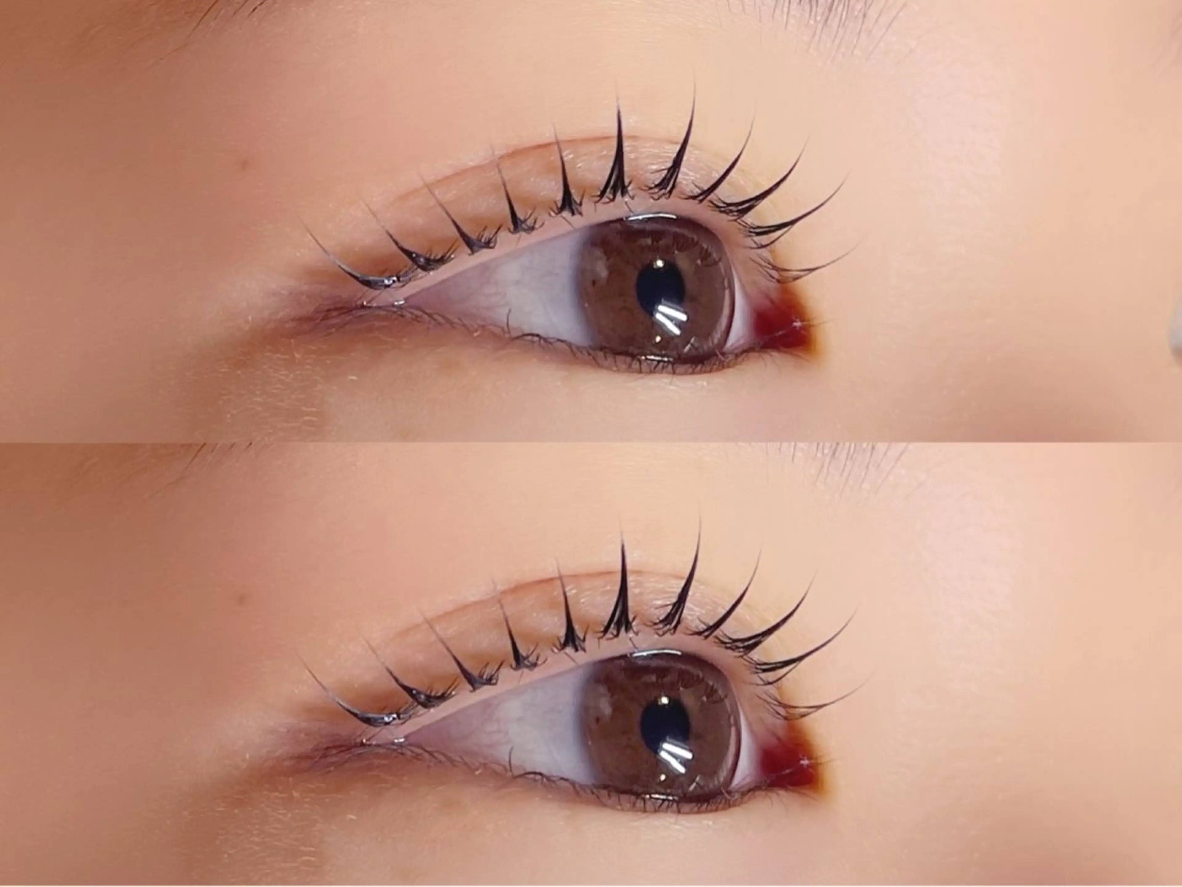 マツエク・マツパ Maazlash 5🐿️のマツエク・マツパデザイン