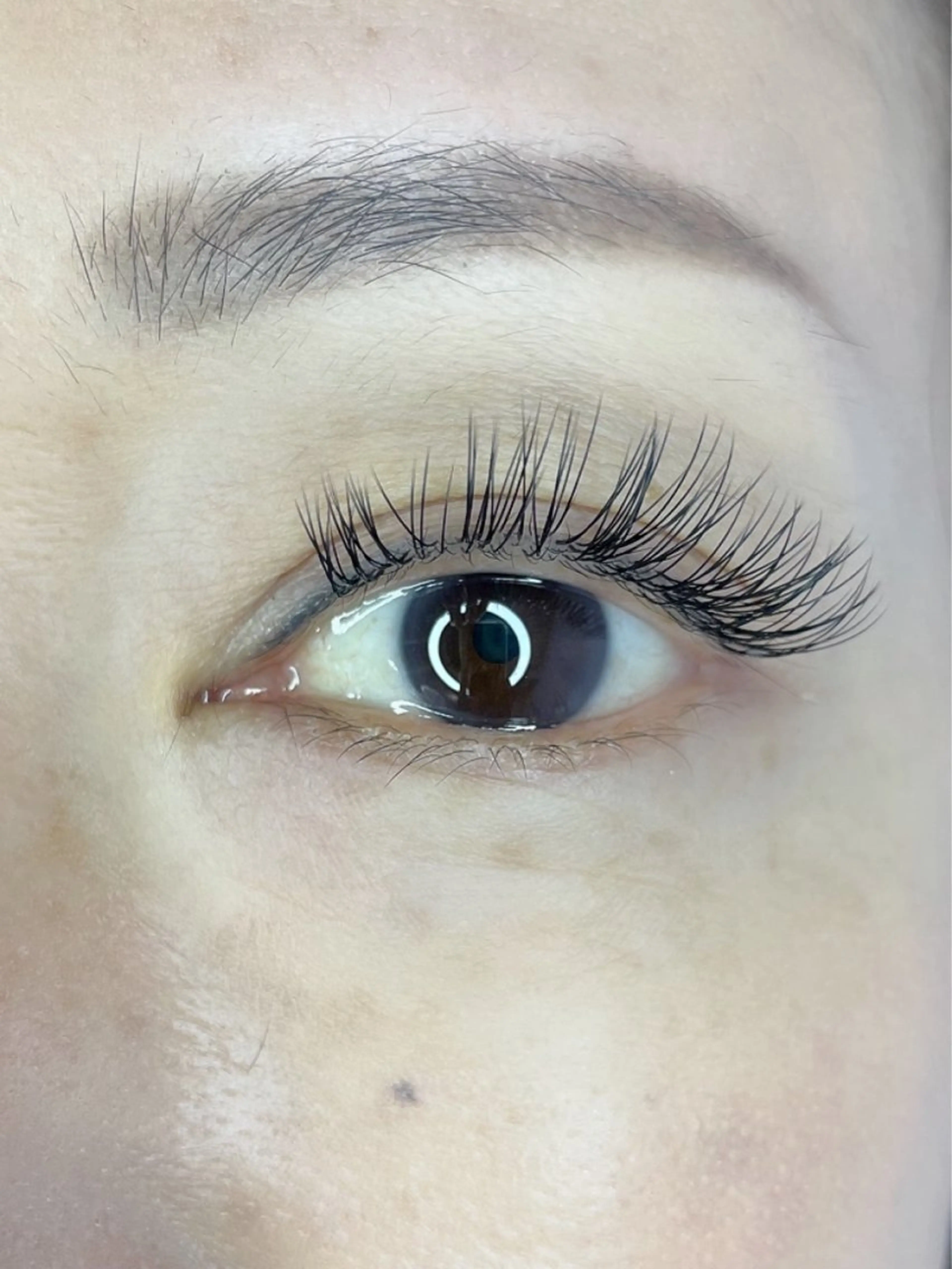 マツエク・マツパ Dカール マツエク SALON ROOT MISAKIのマツエク・マツパデザイン