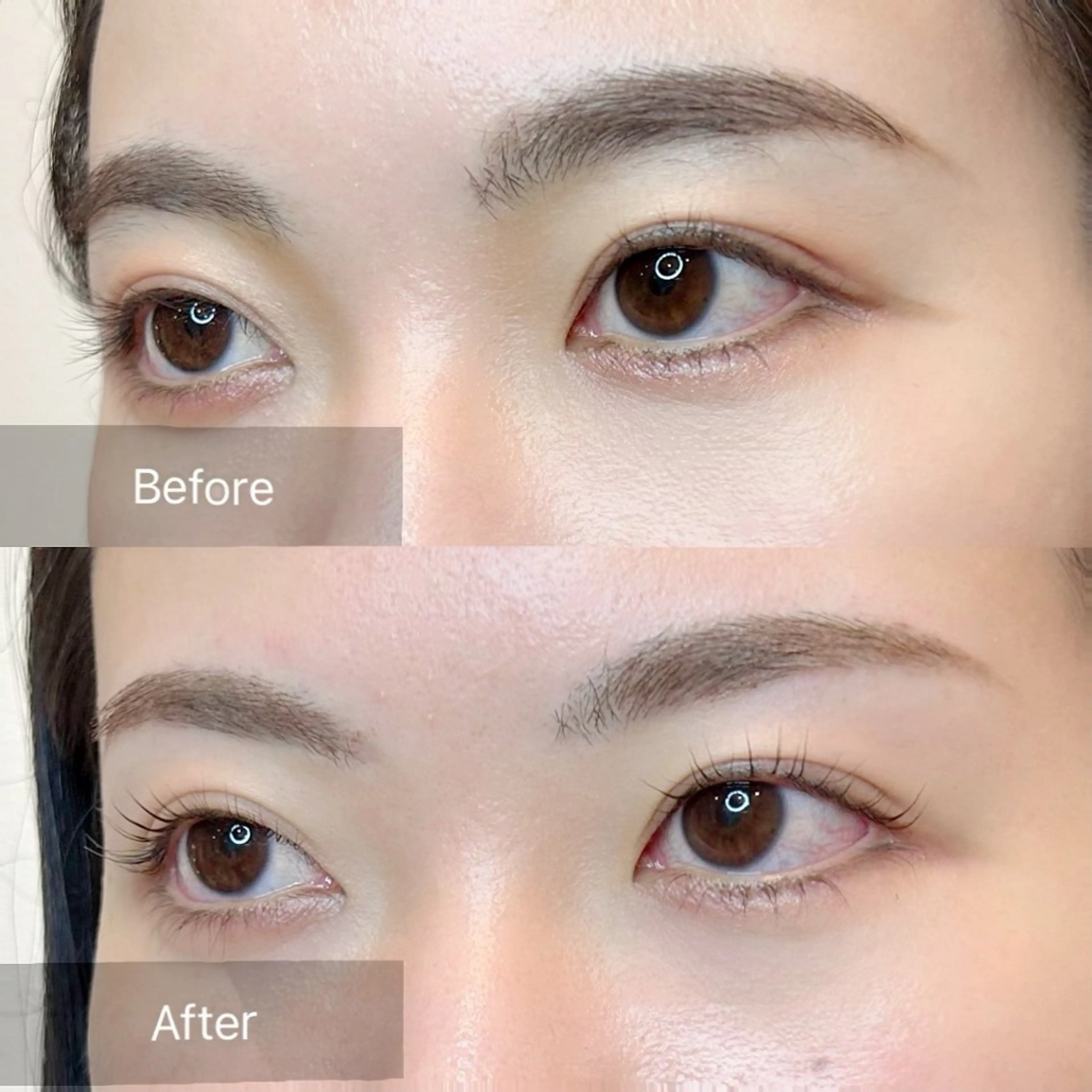 アイブロウ ワックス脱毛 眉カット その他(アイブロウ) 美まつ毛❤️美眉毛 🌈✨Mebereのマツエク・マツパデザイン