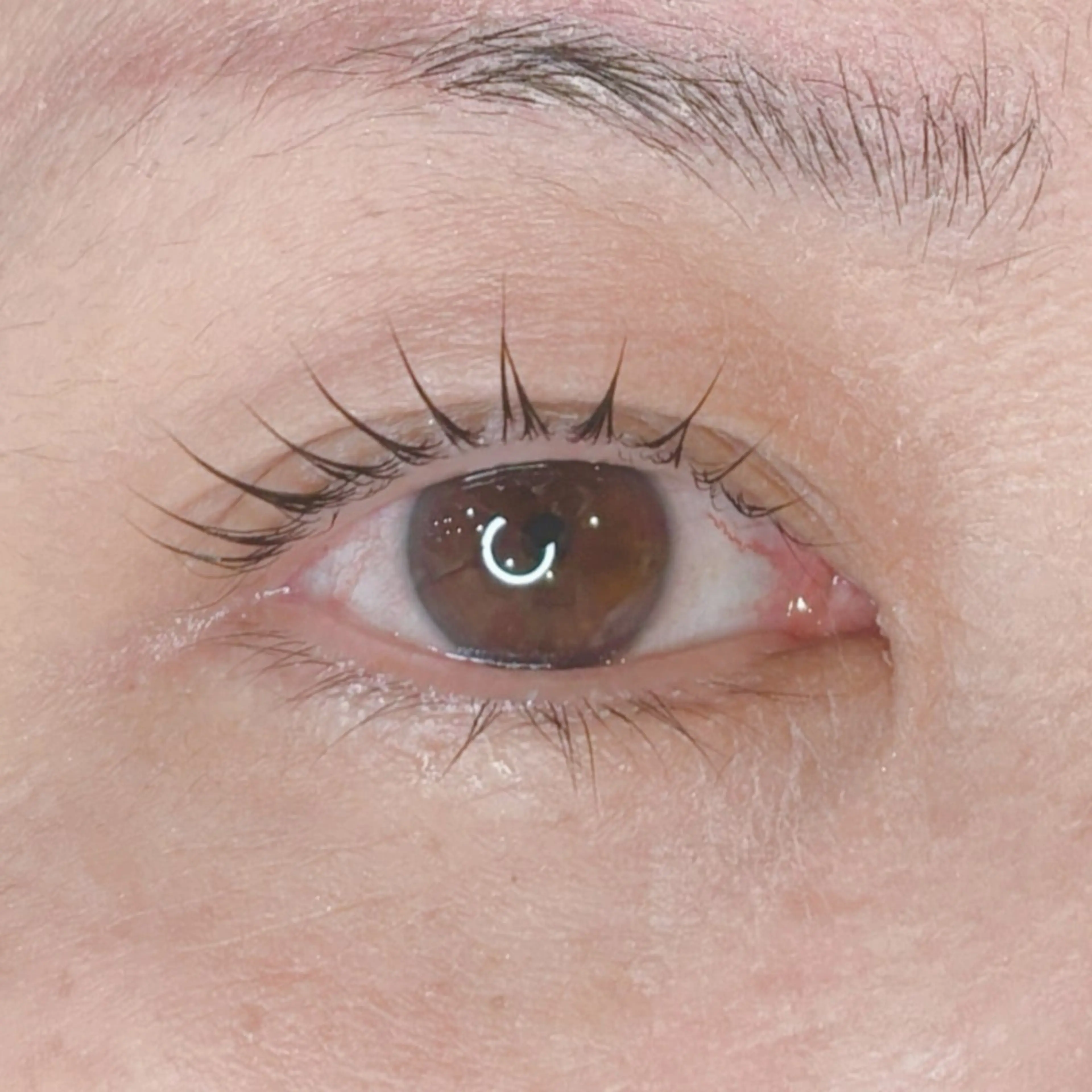 パリジェンヌラッシュリフトの写真