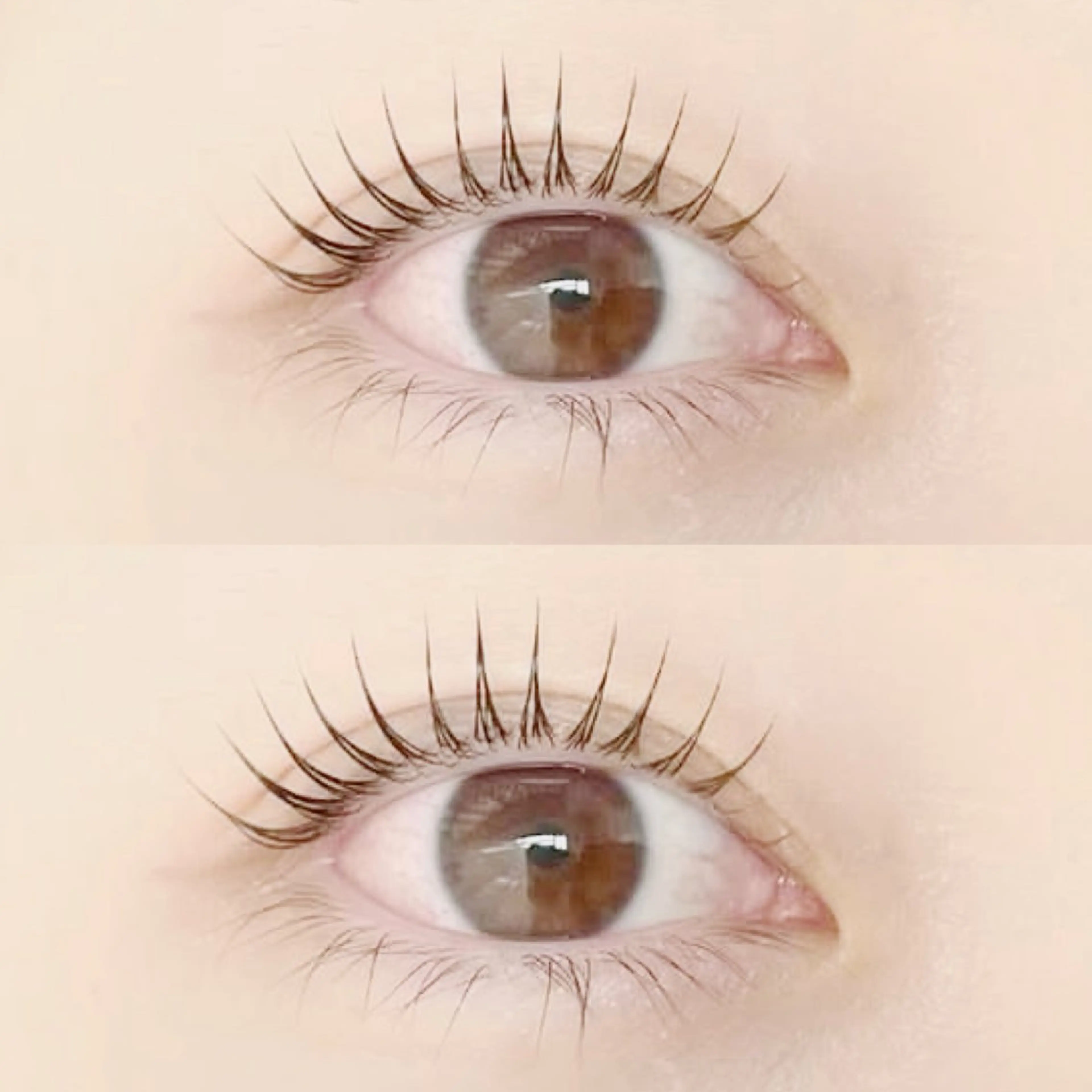 マツエク・マツパ Nail salon Ange 【アンジュ】所属・Salon Ange 🎀🤍Misakiの眉毛・アイブロウイメージ