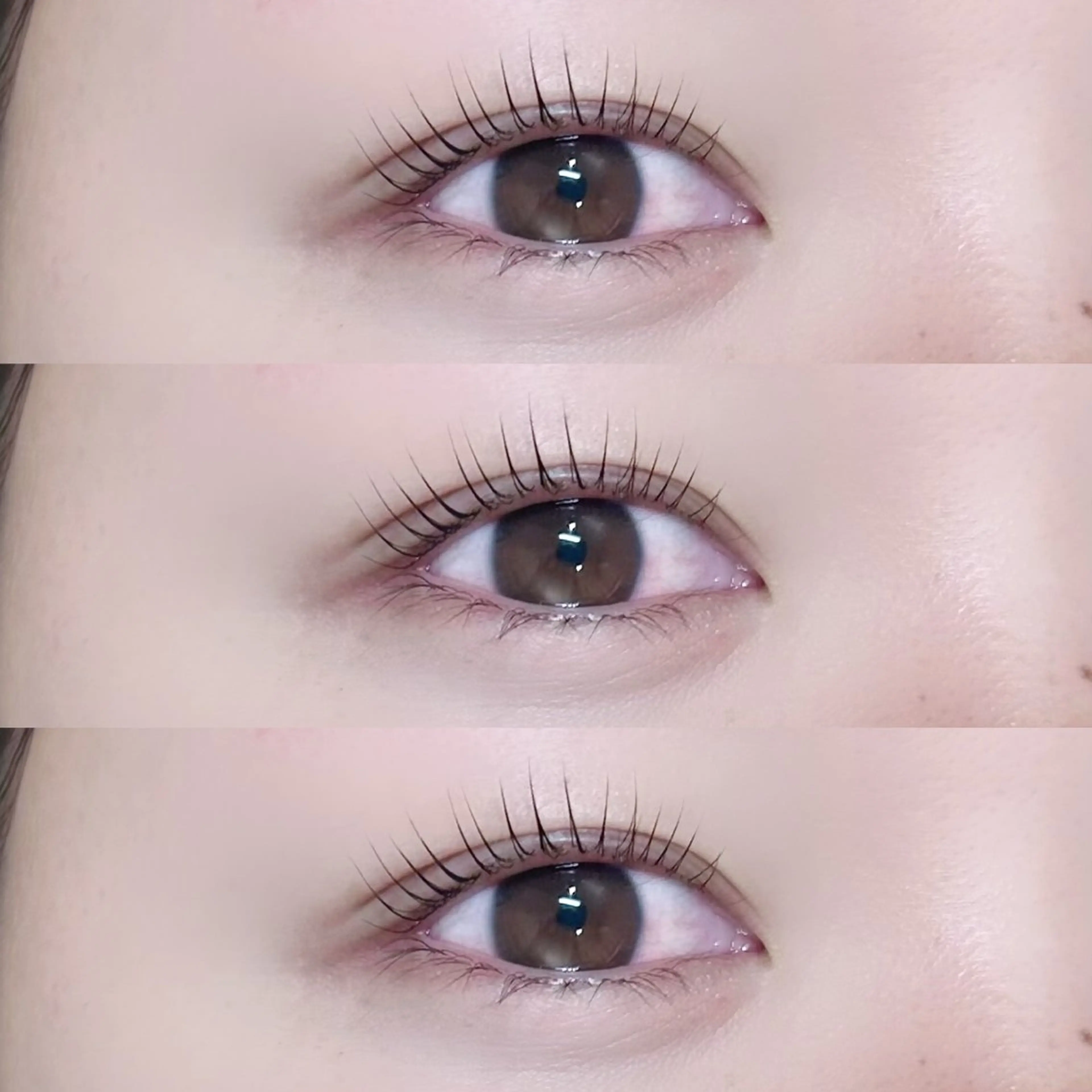 《🤍似合わせ×まつげケア💫》 ラッシュリフト🩰＋ホットアイシャンプー🫧 — 根元からぱっちり清潔まつげに👀✨の写真