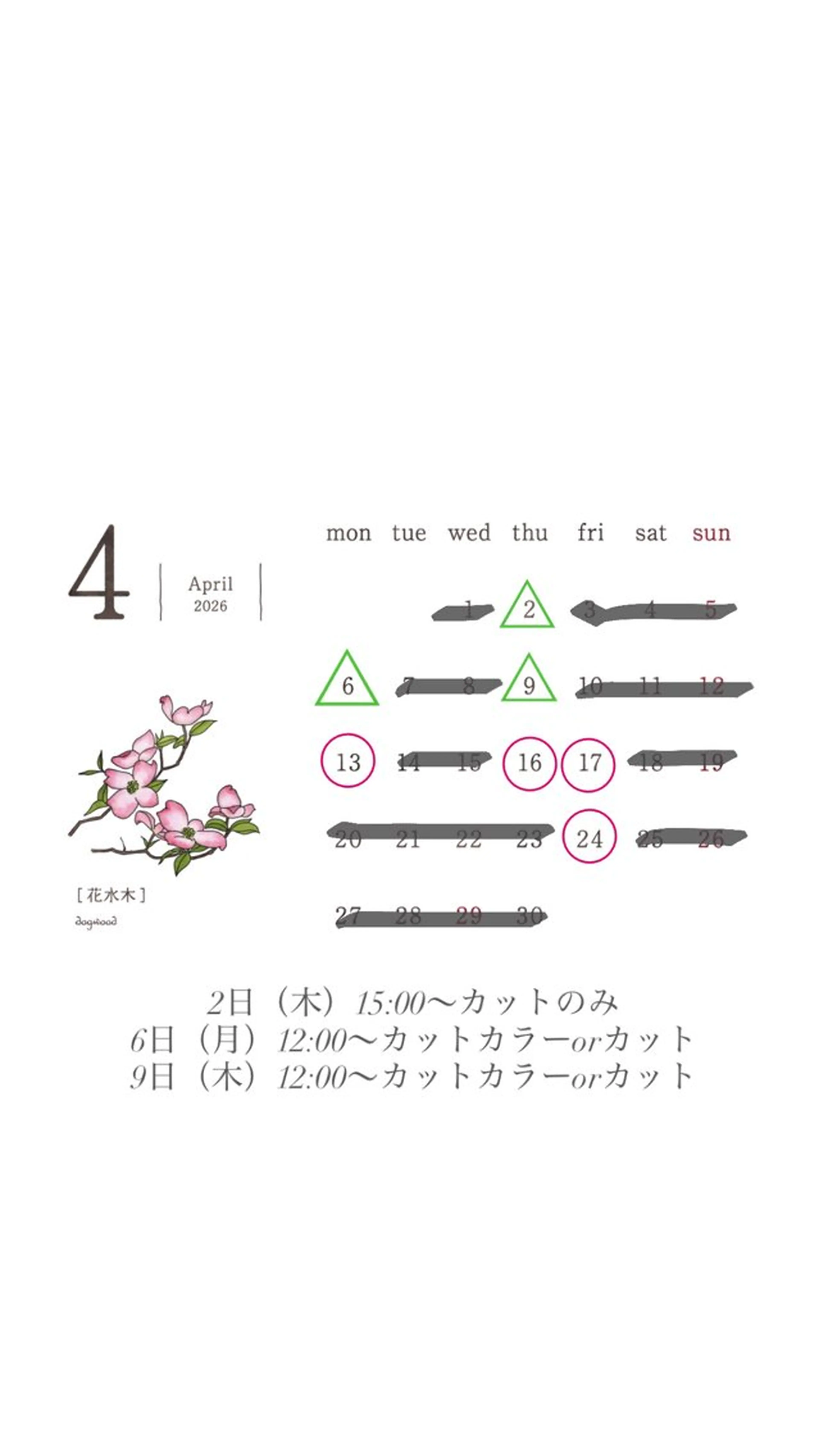 新垣 琉花のヘアスタイル
