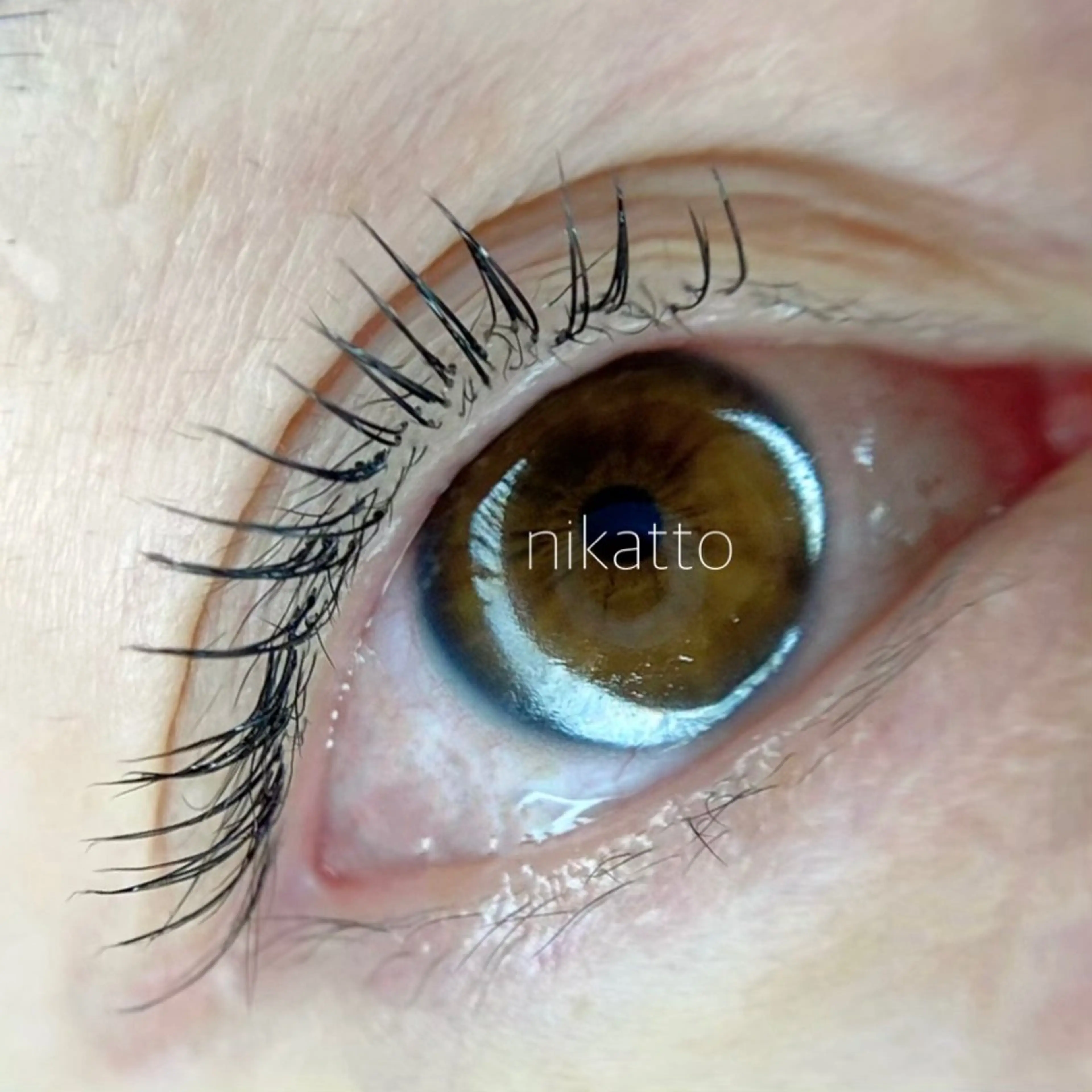 マツエク・マツパ マツエク nikatto所属・nikatto あかねのマツエク・マツパデザイン