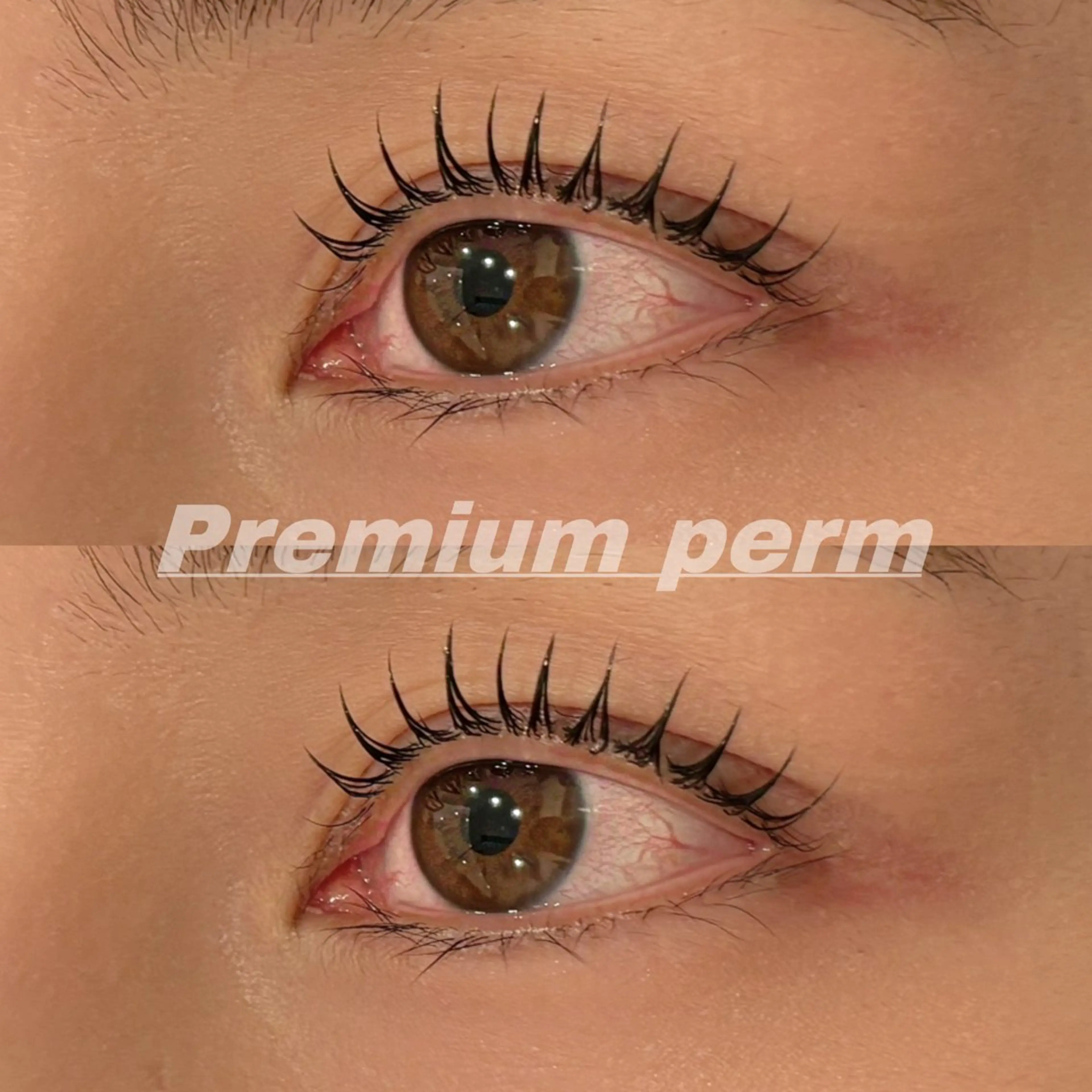 マツエク・マツパ 一重×まつ毛パーマ マツパ Eye ELSA lash栄店の眉毛・アイブロウイメージ