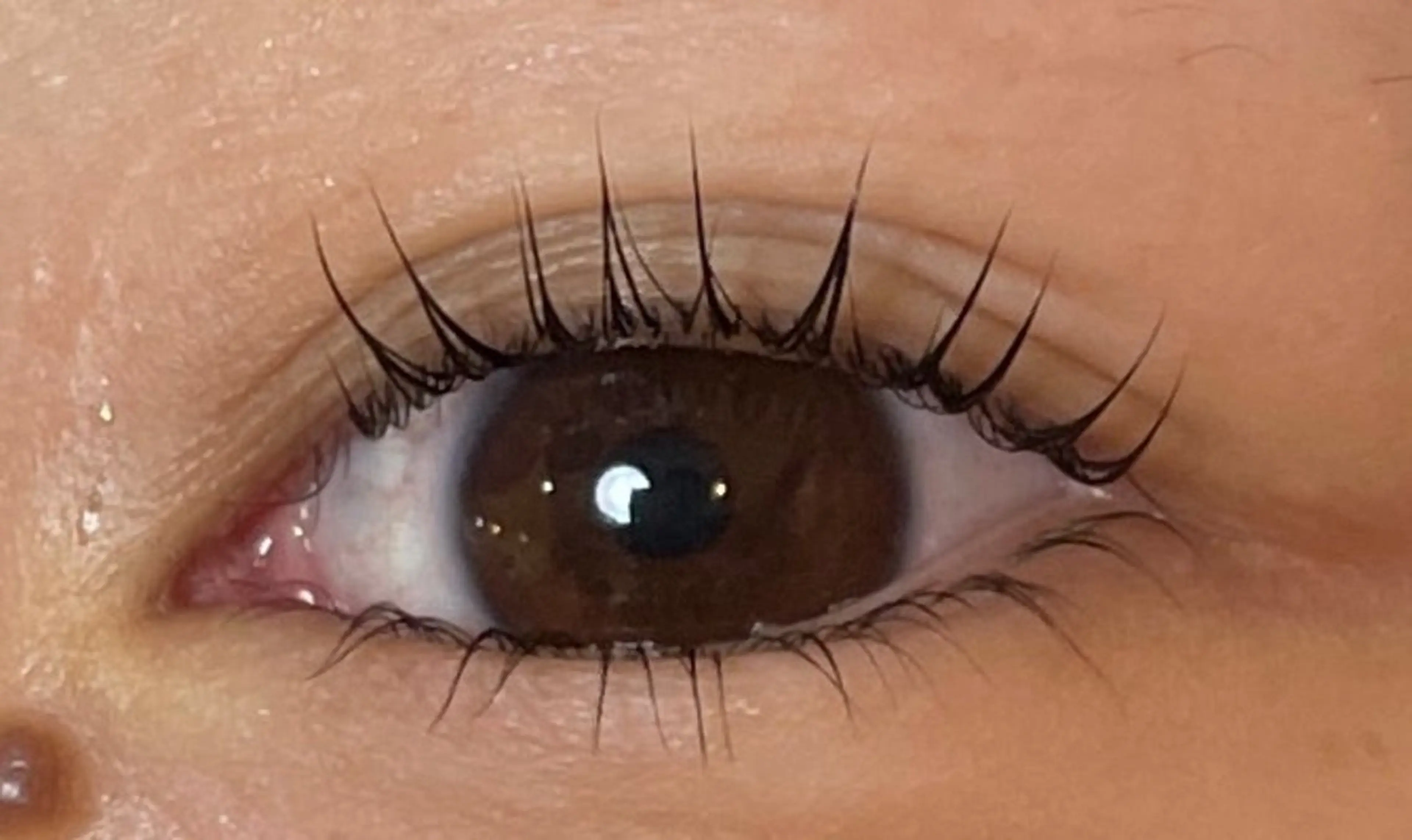 マツエク・マツパ まつげパーマ 下まつげエクステ fiio brow 大阪梅田芝田店所属・fiio  brow 大阪梅田⛩️実希の眉毛・アイブロウイメージ