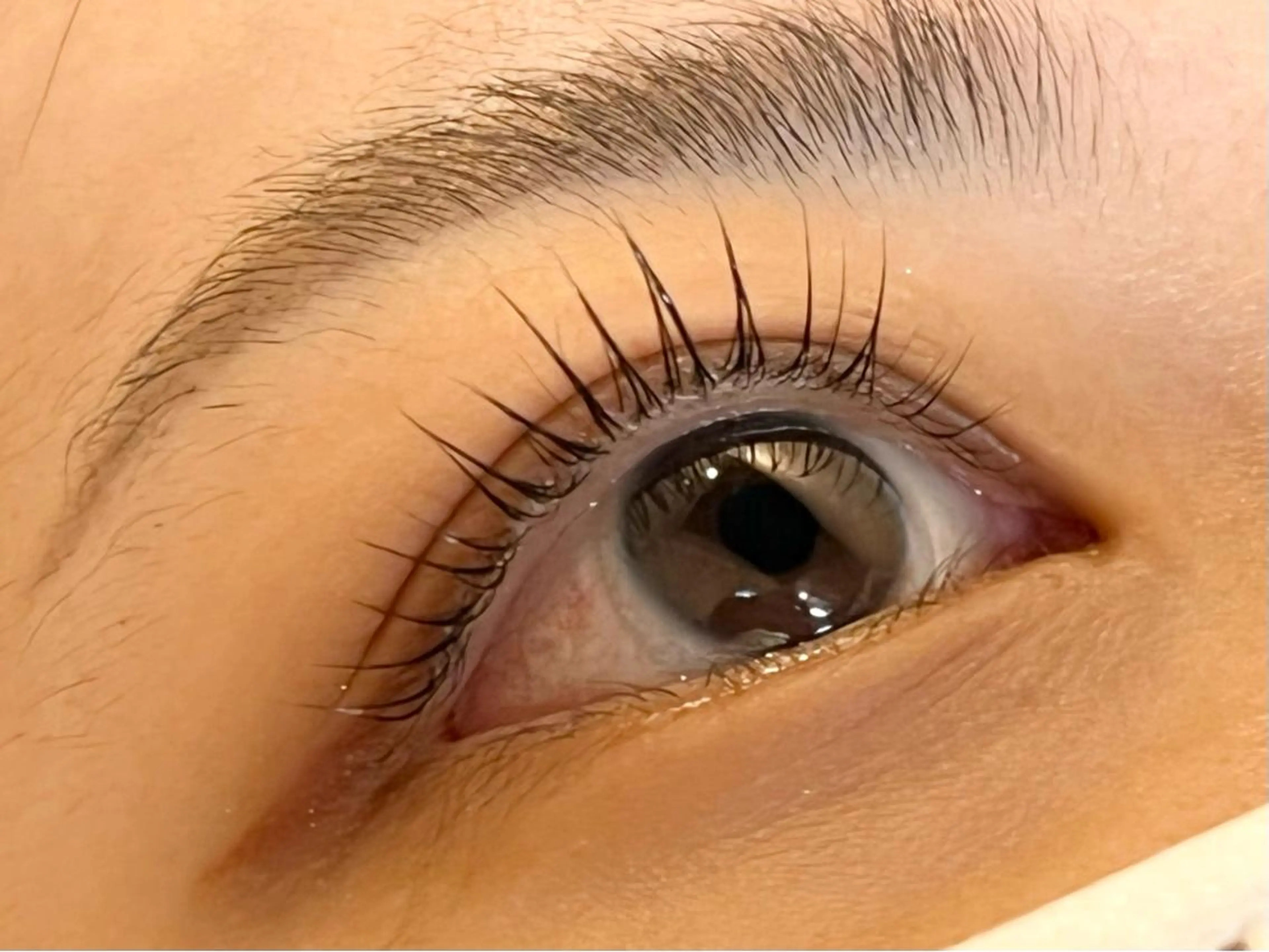 マツエク・マツパ マツパ STELLA ステラのマツエク・マツパデザイン