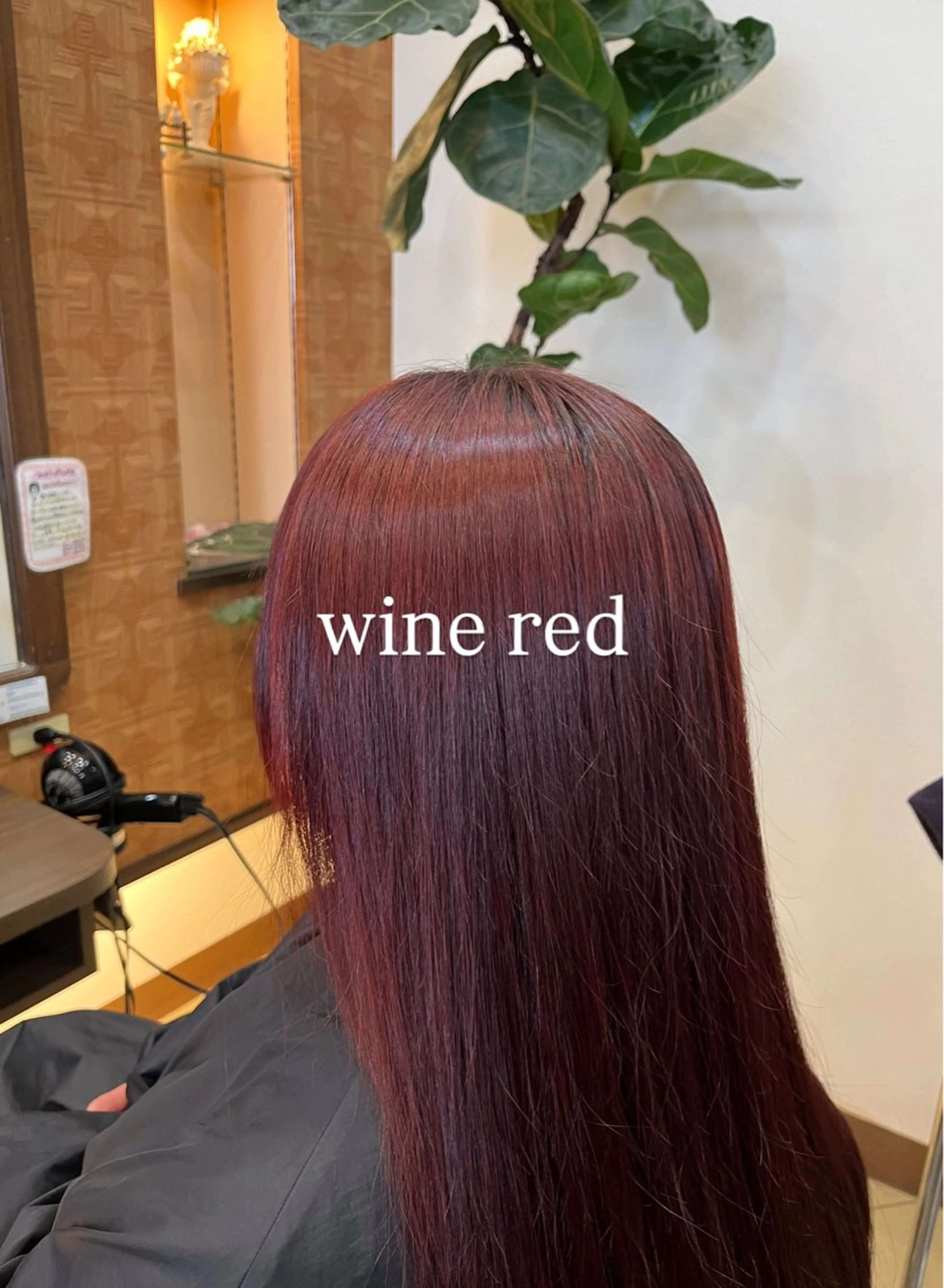 ロング カラー レッドカラー カシェリタヘア🫧 KOKORO  💞のヘアスタイル