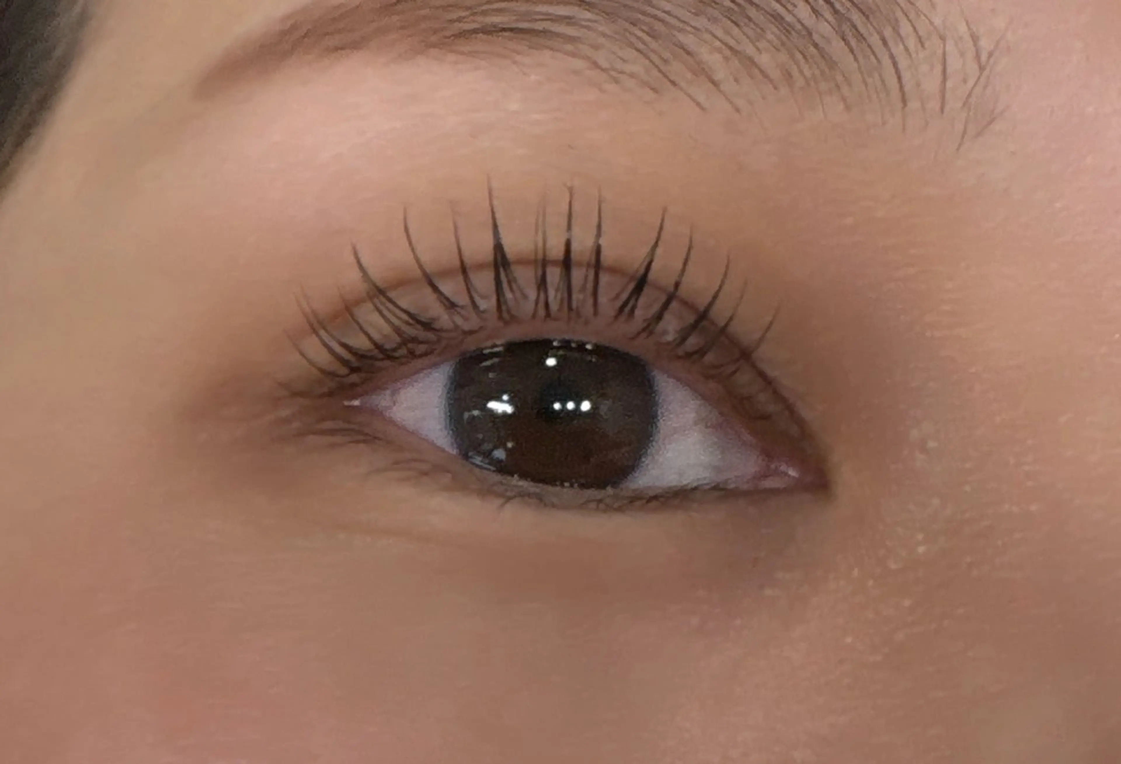 マツエク・マツパ マツパ 須貝 スガイの眉毛・アイブロウイメージ