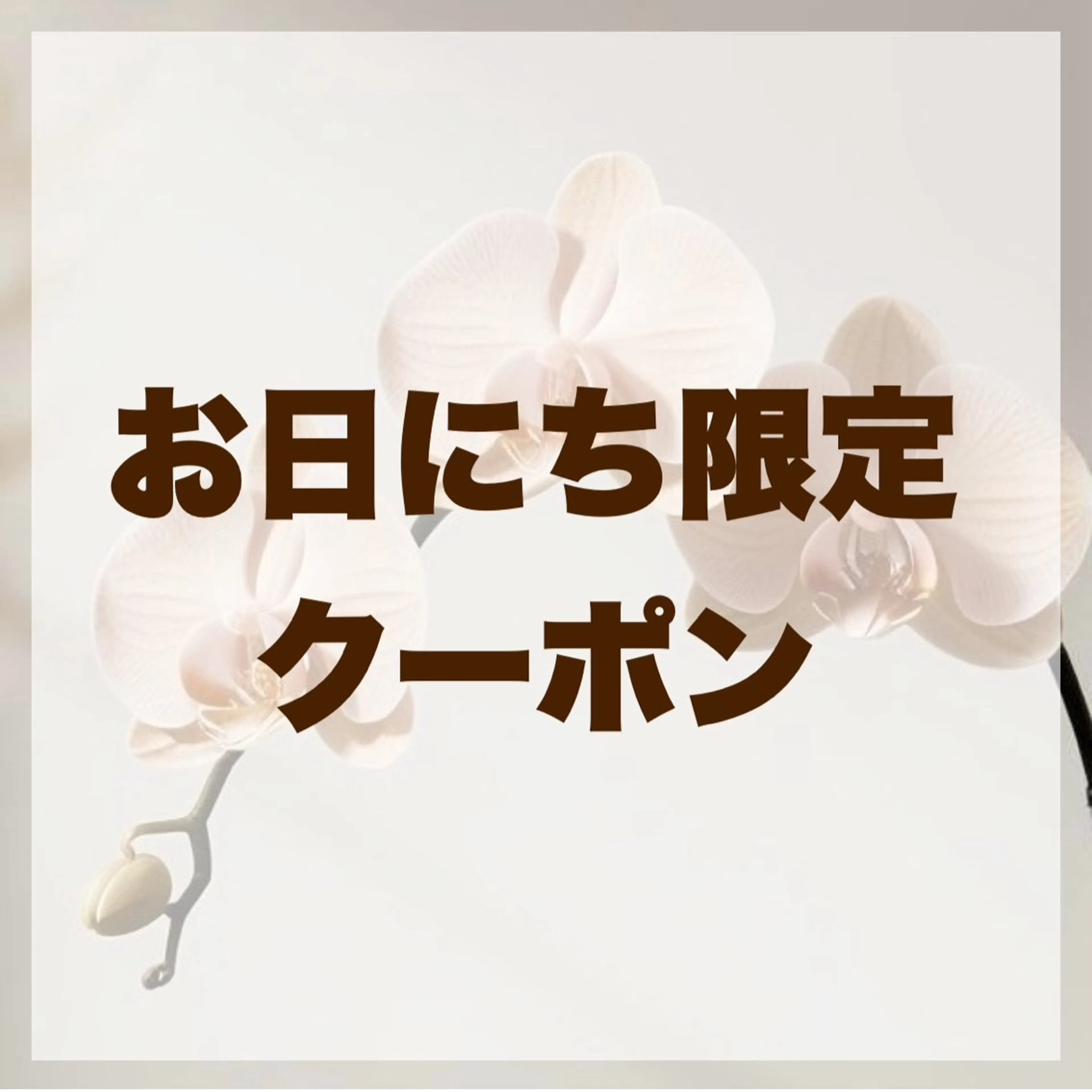 マツエク・マツパ マツエク まつ毛、眉毛 専門店🎀🐻のマツエク・マツパデザイン
