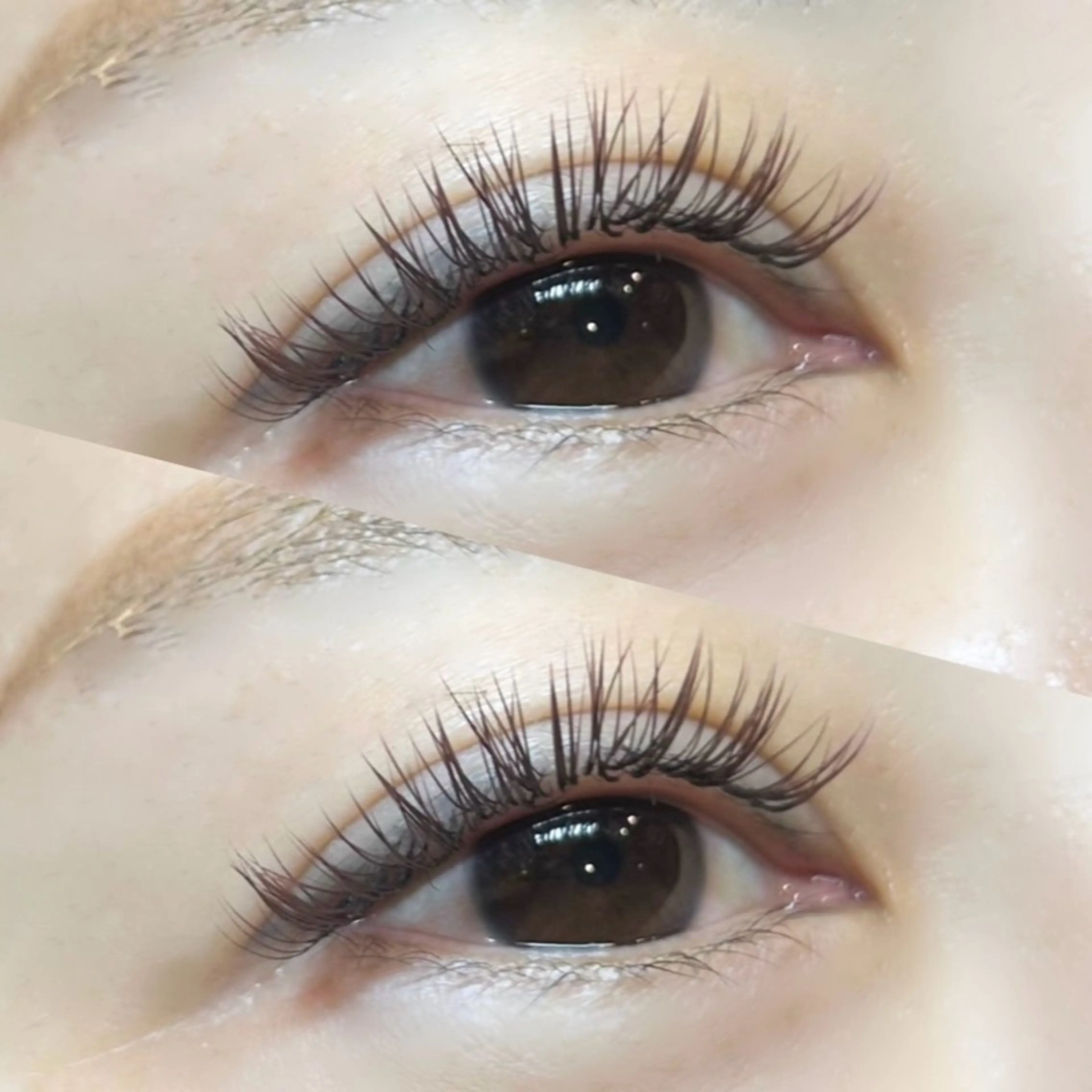 持続性・ボリュームUP🐰🌟ダブルフラットラッシュ🤍120束(240本)の写真