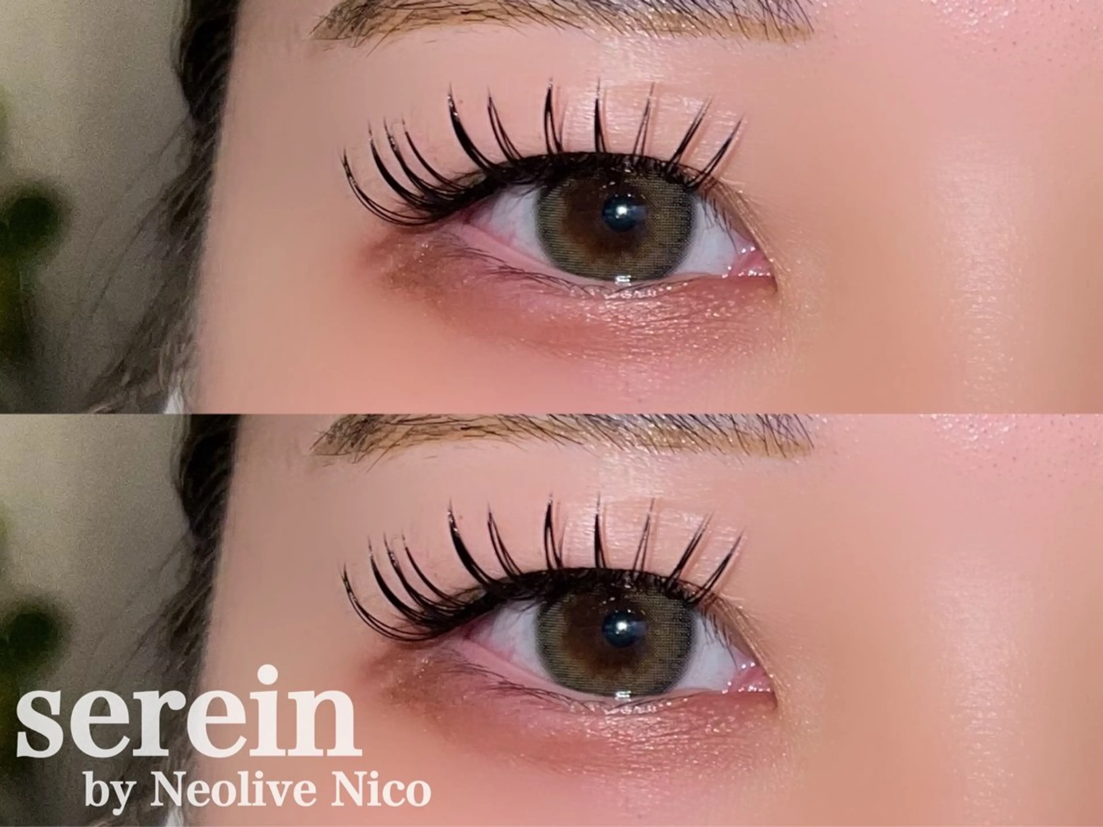 マツエク・マツパ マツエク 丸山 知夏のマツエク・マツパデザイン