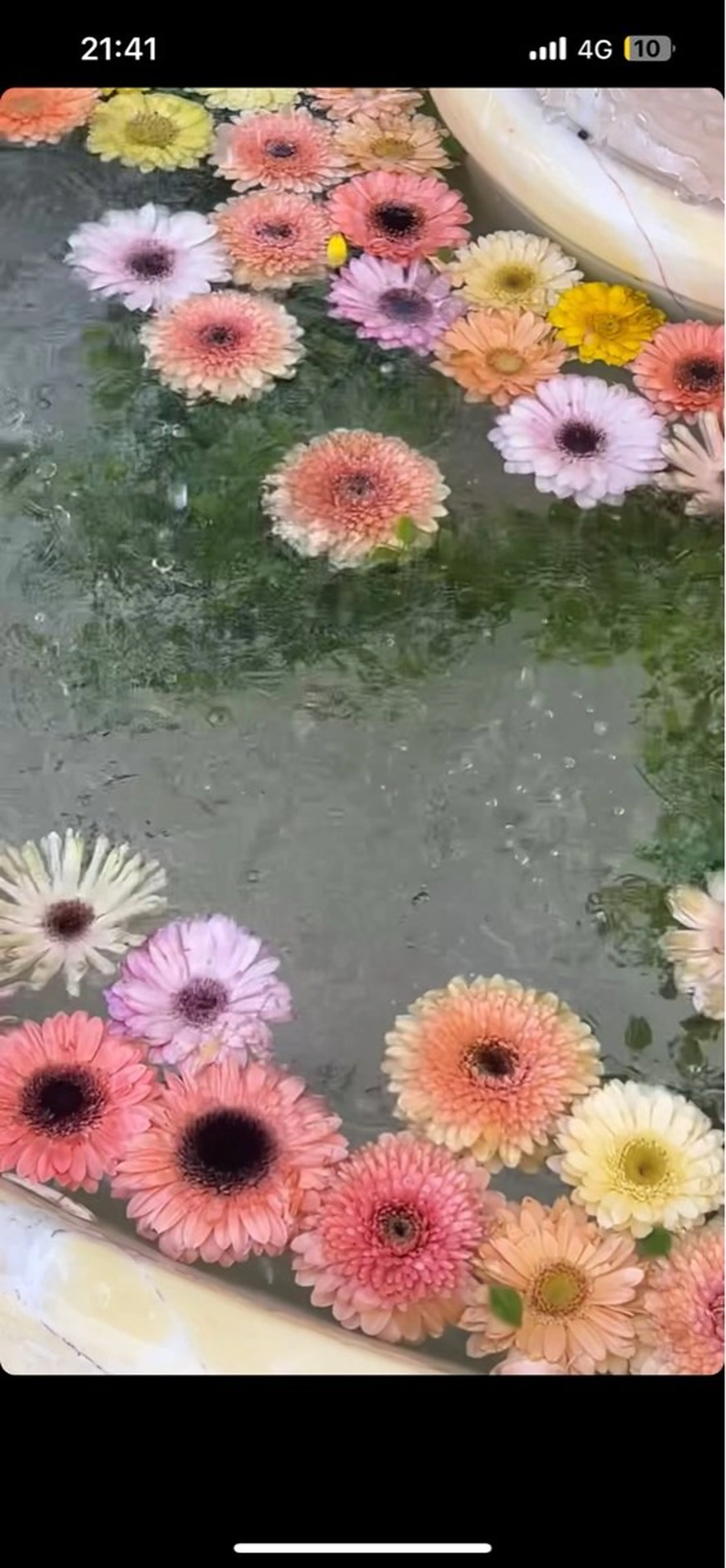 【foot】シンプルアートコース✳︎の写真