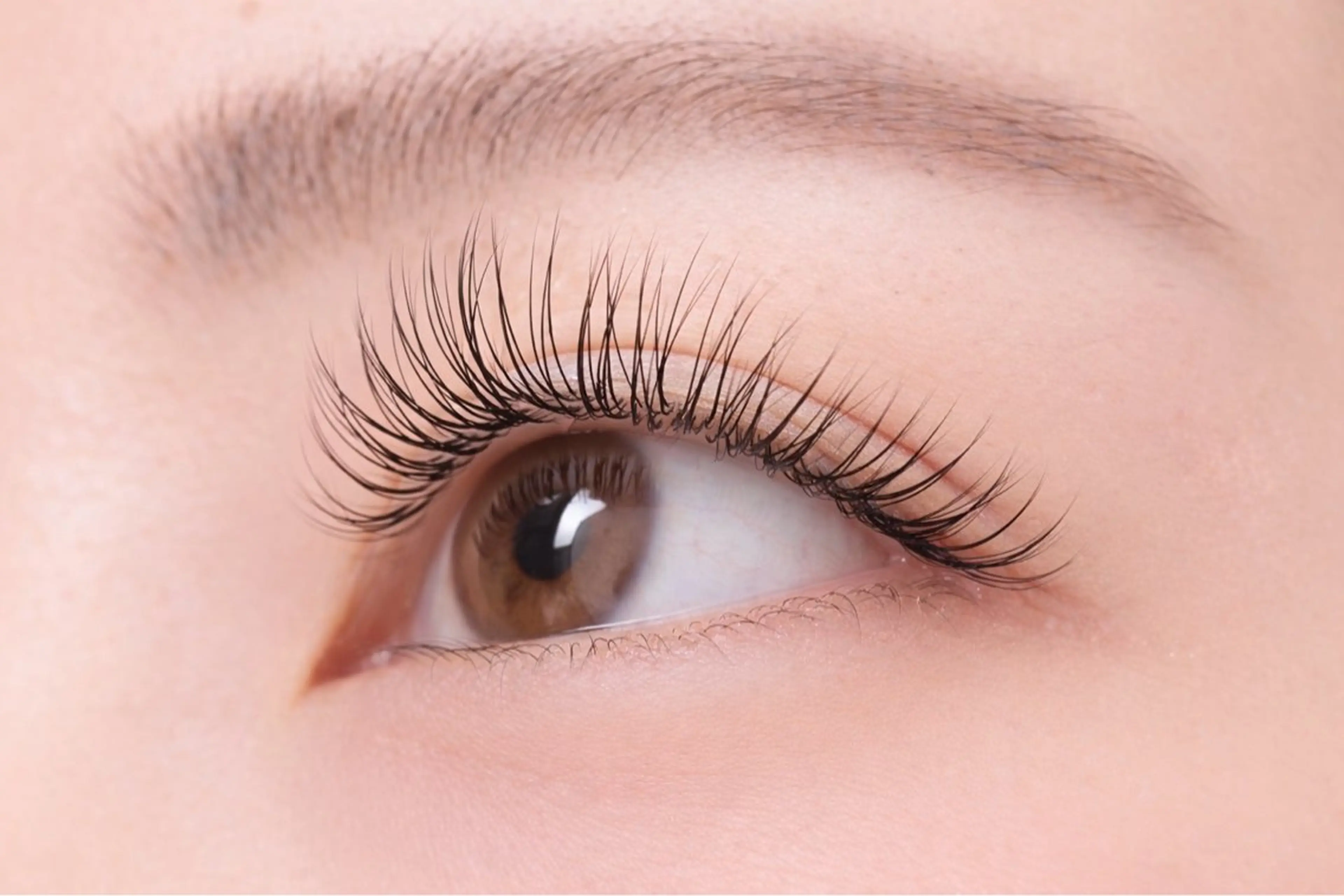 マツエクカシミア120本の写真