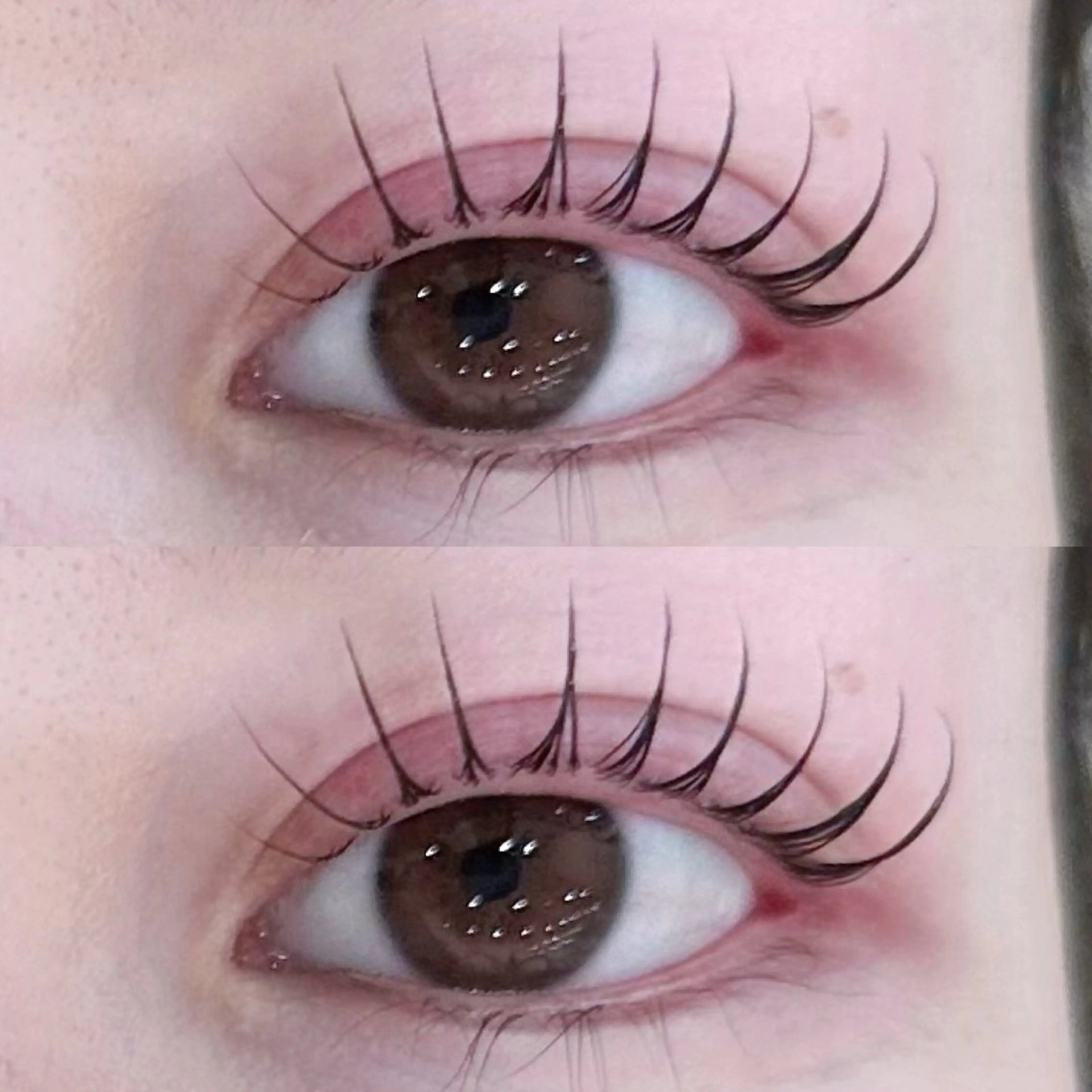 マツエク・マツパ マリーテレジア 🍬KOJIMAのマツエク・マツパデザイン