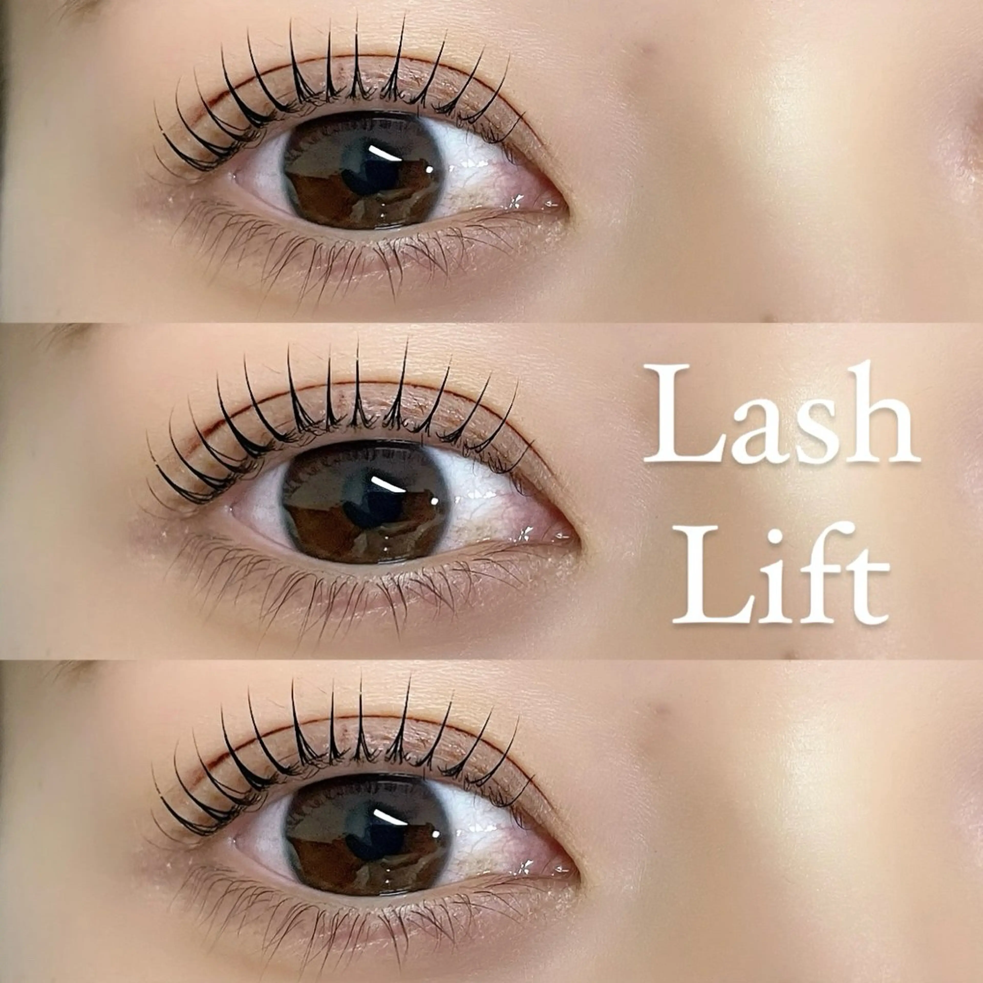 ✨️🌙まつ毛パーマ🌙✨️の写真