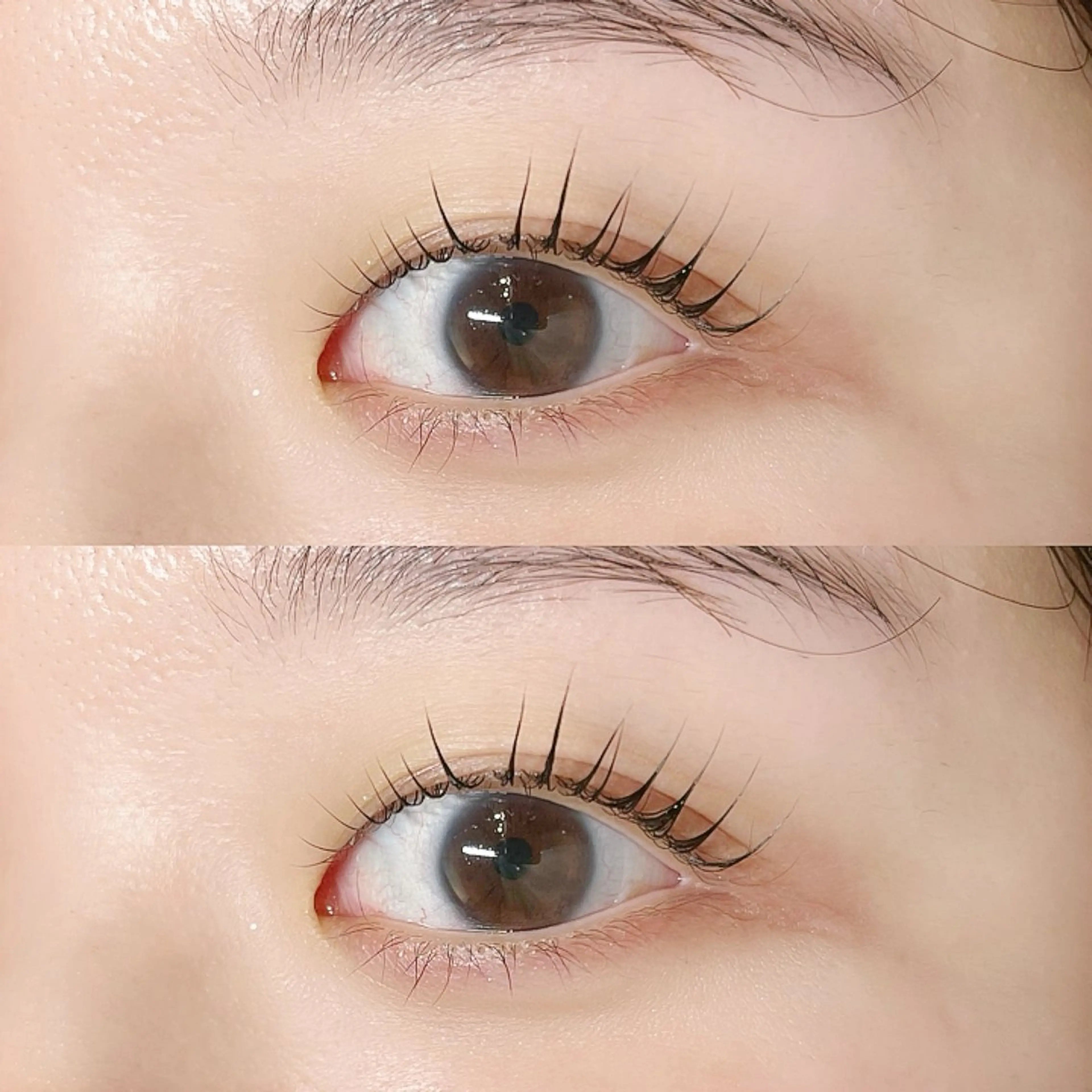 パリジェンヌラッシュリフト🌷根本立ち上げ・毛先ストレートデザインのみの写真