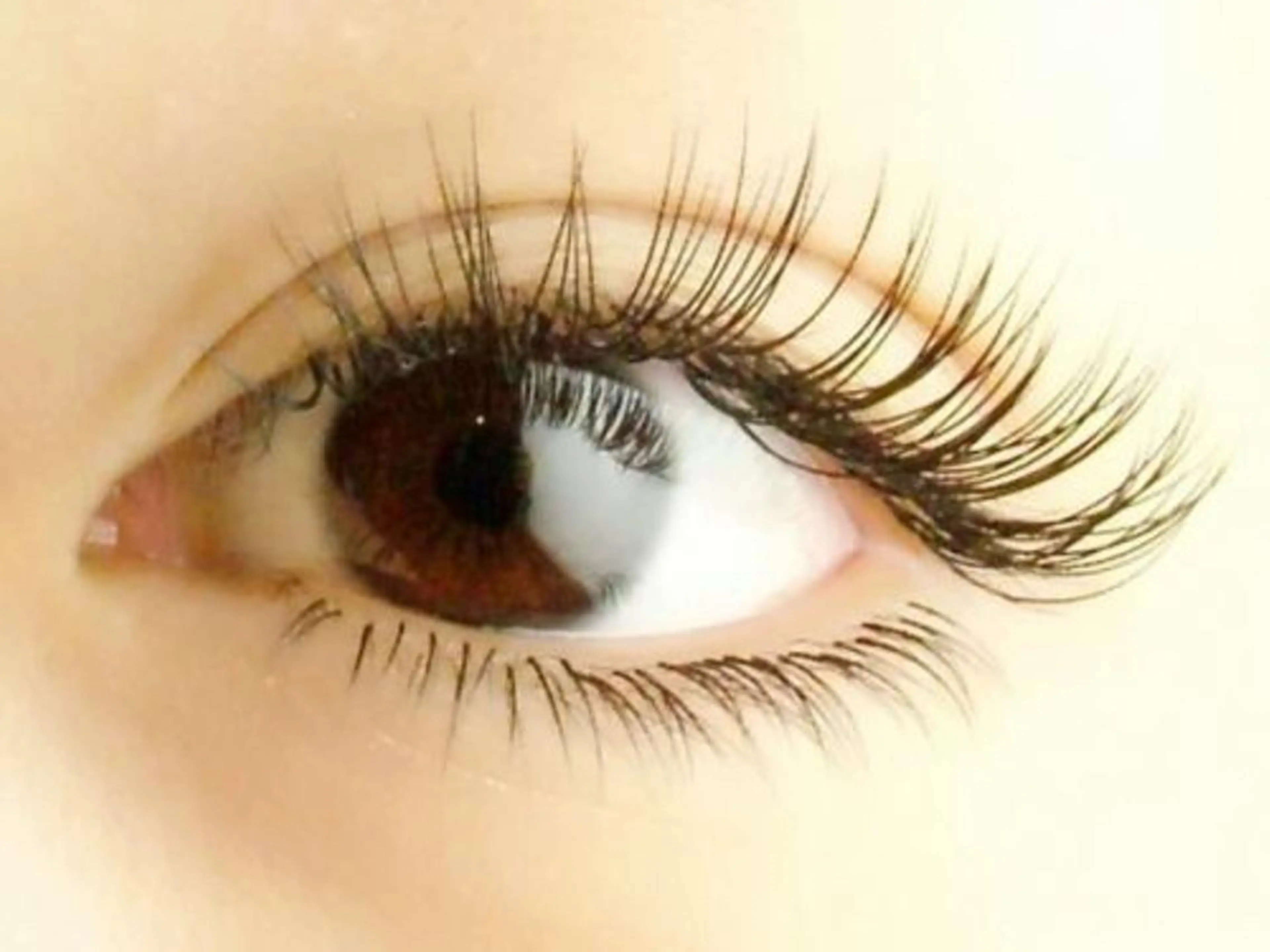 [オードリーコレクションフラットマットラッシュ]80本(コーティング付き)の写真