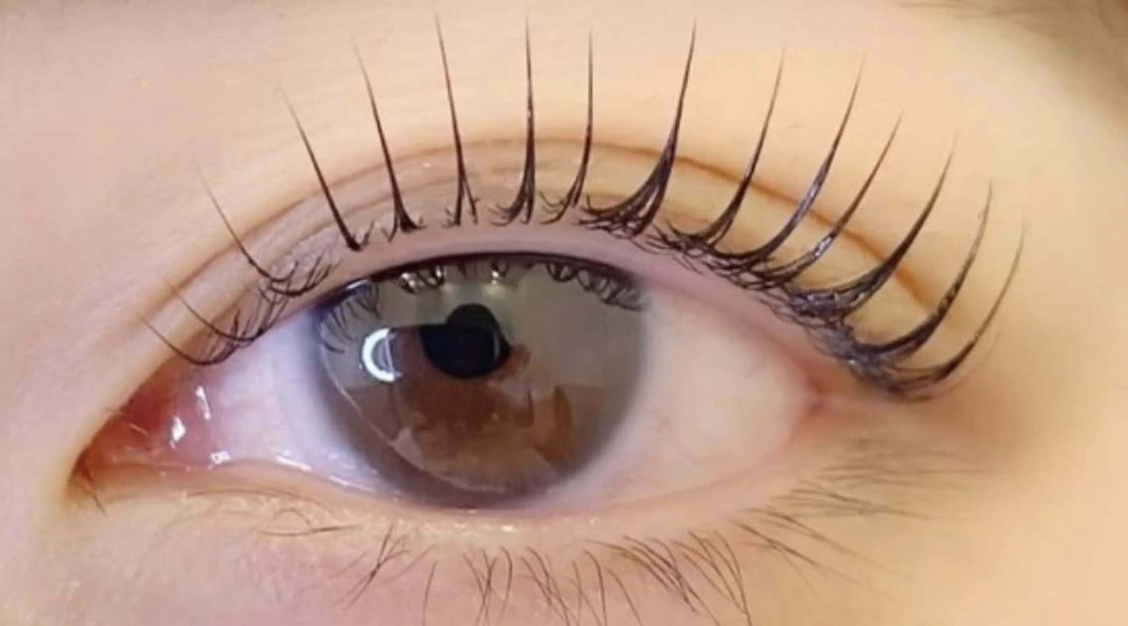 🔅パリジェンヌラッシュリフト🧚🏻コーティング付✨【土日祝限定】の写真