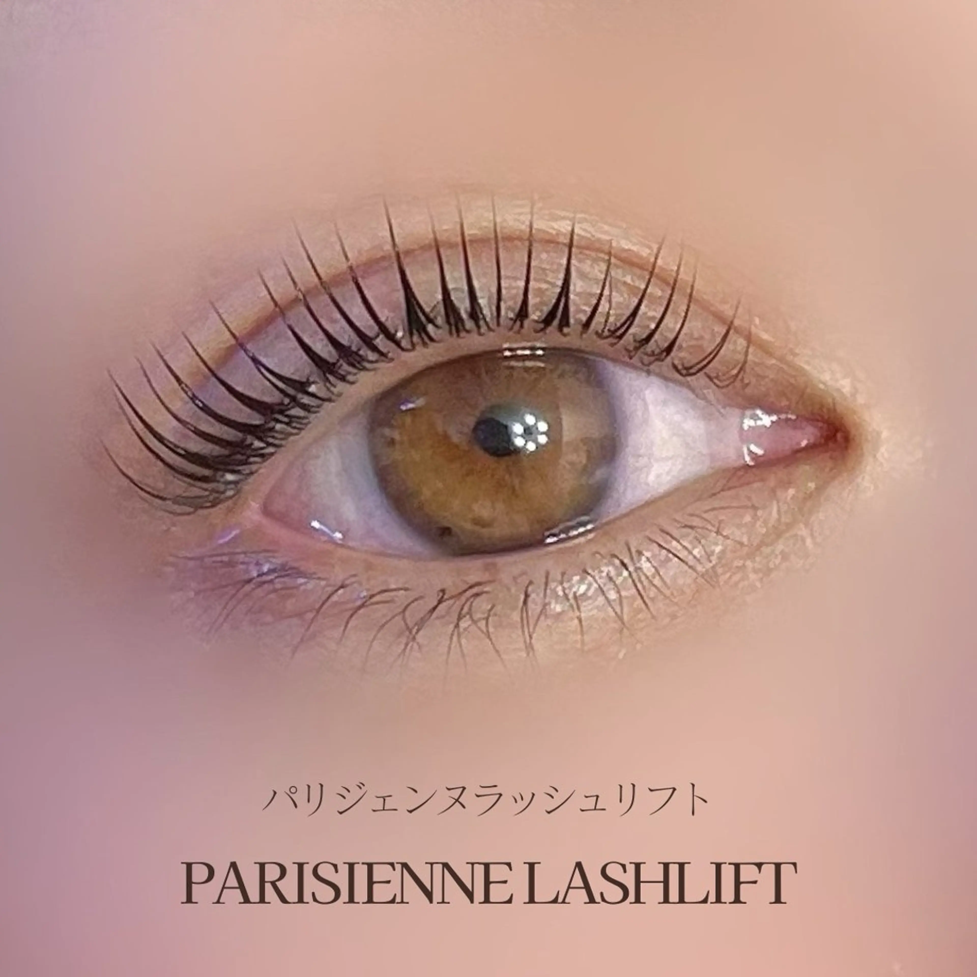 マツエク・マツパ Rafre所属・Rafre【ラフレ】 タカヤマのマツエク・マツパデザイン