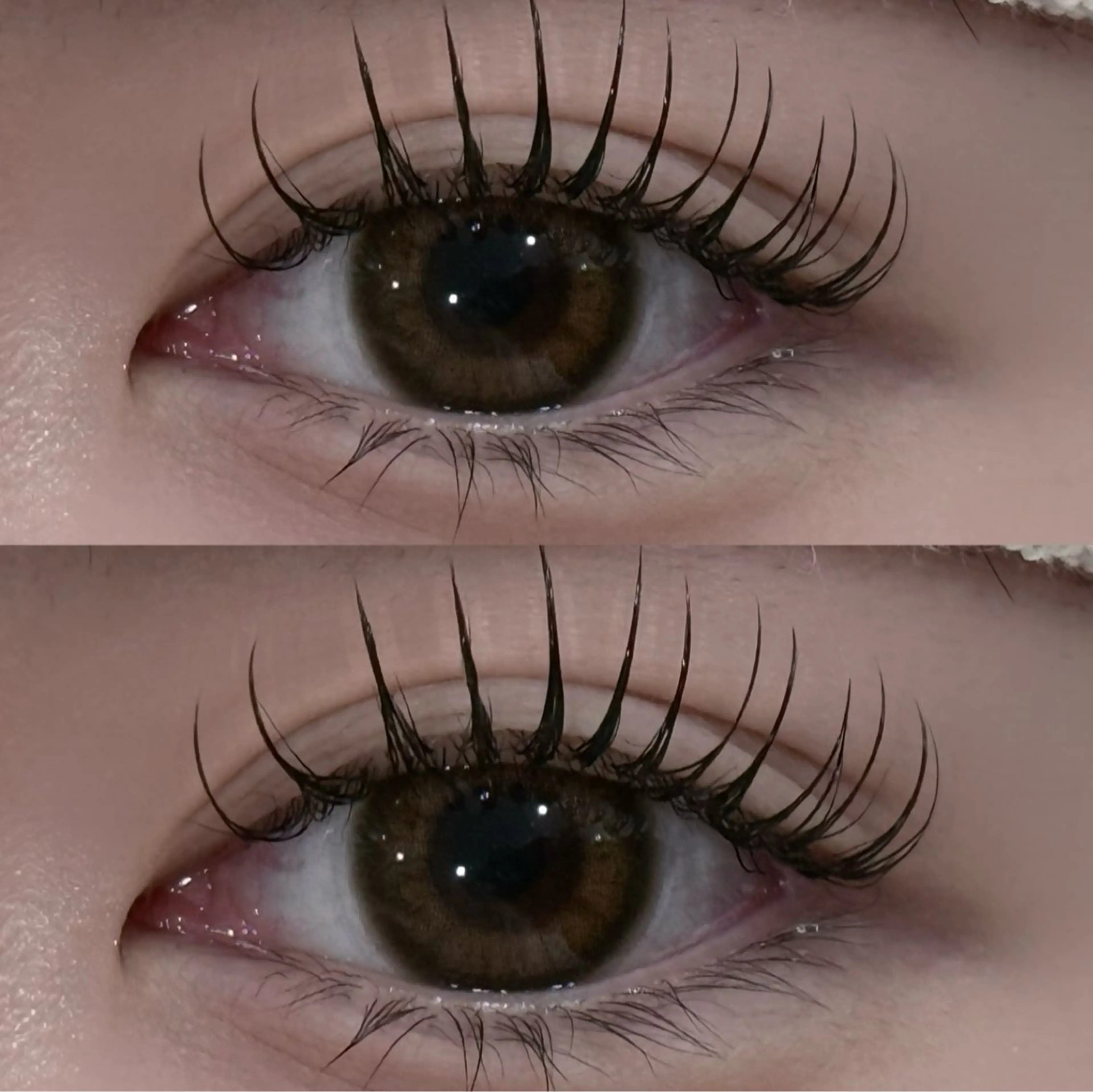 マツエク・マツパ Mon mignon ෆ‪momokaのマツエク・マツパデザイン