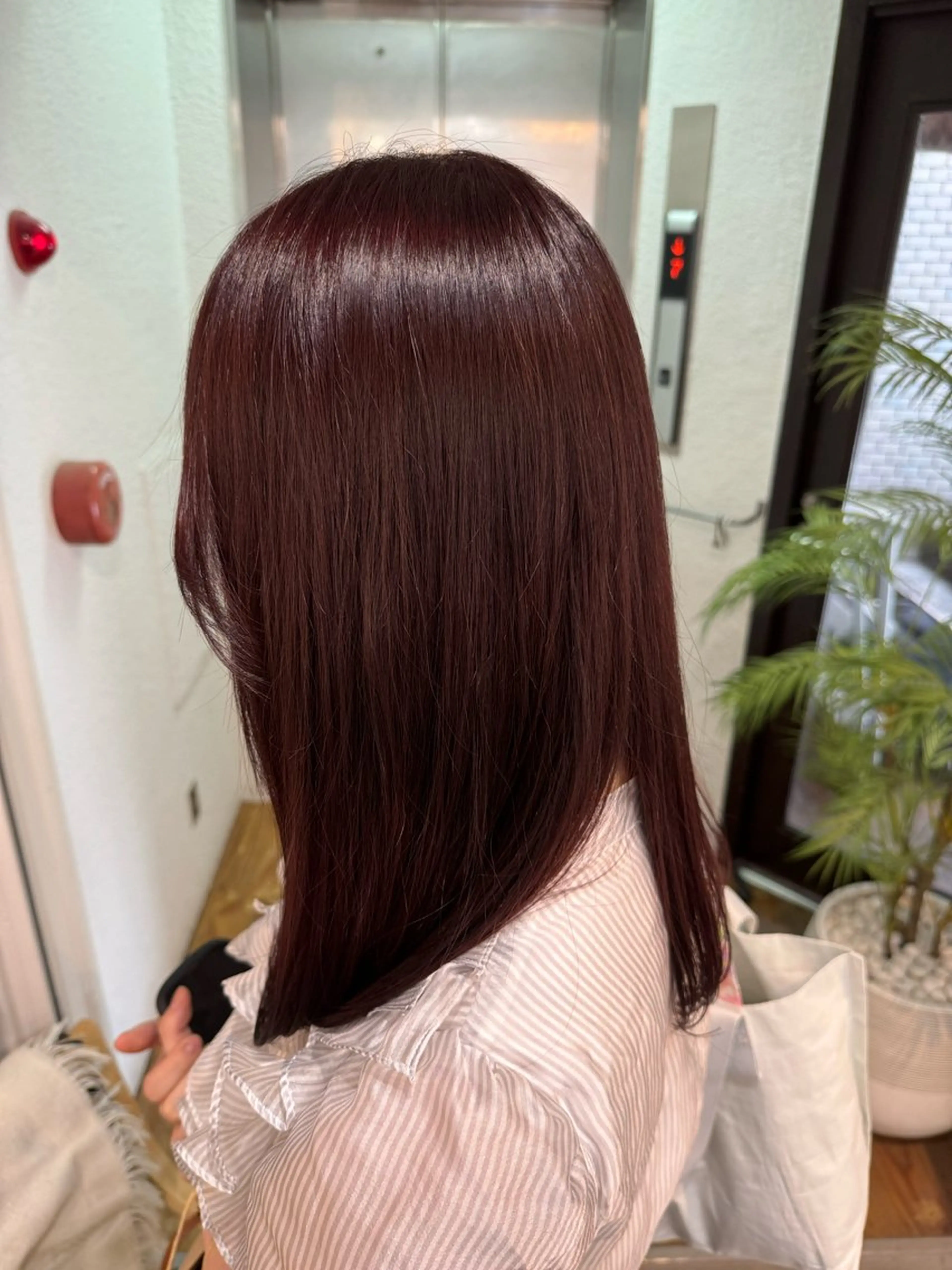 カラー ICHIE oda miuのヘアスタイル