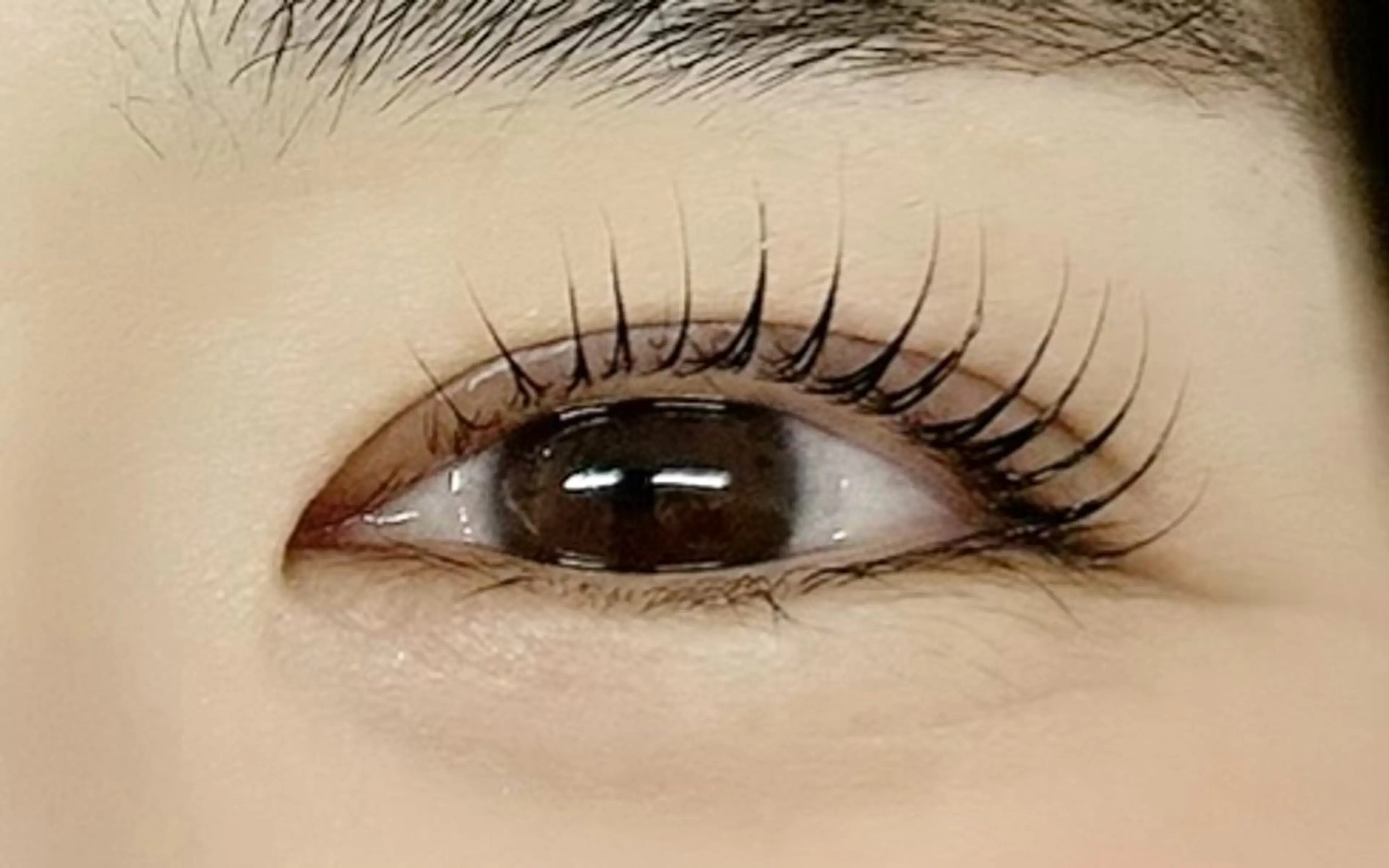 parisienne lash lift✧｡:*パリジェンヌ・まつ毛パーマ✦アイシャンプー&コーティングは+300円の写真