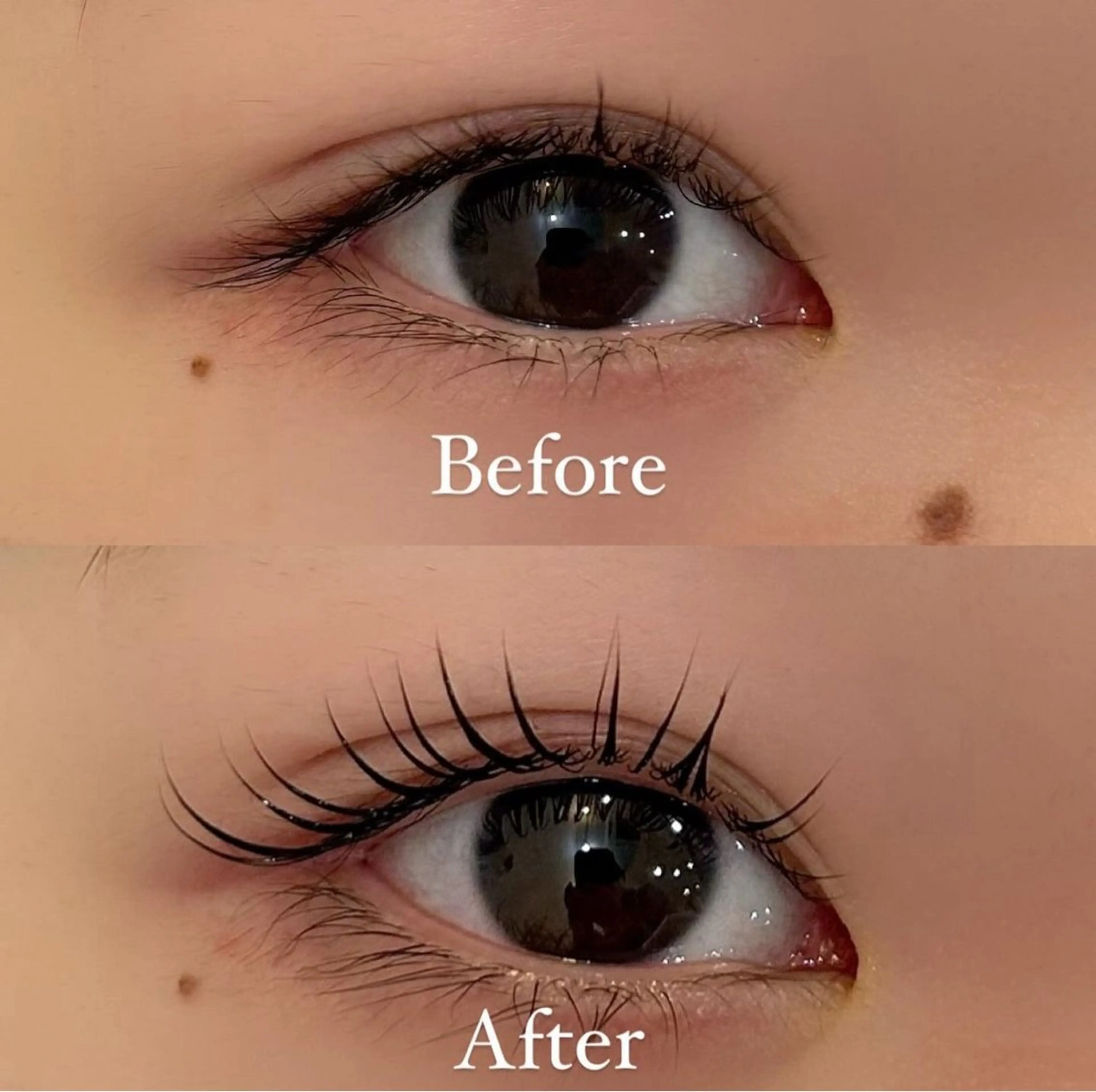 【土日もお得！】ゲリラ価格！¥6600→¥3200🍒韓国デザインも◎ラッシュリフト自慢のまつ毛パーマ/折返しで確定の写真