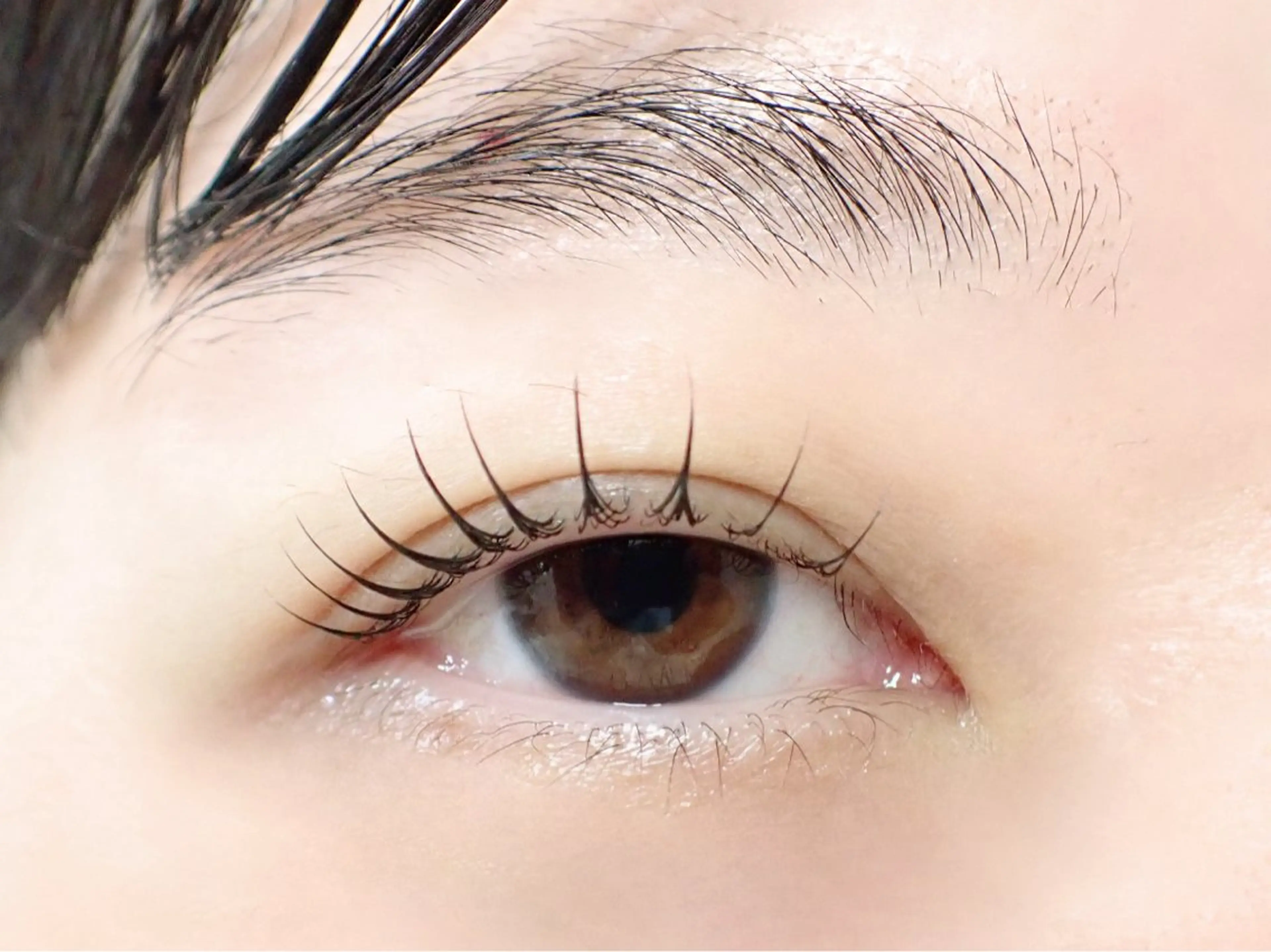 マツエク・マツパ マツパ (上本町)REINE ✨MEGUMIのその他イメージ