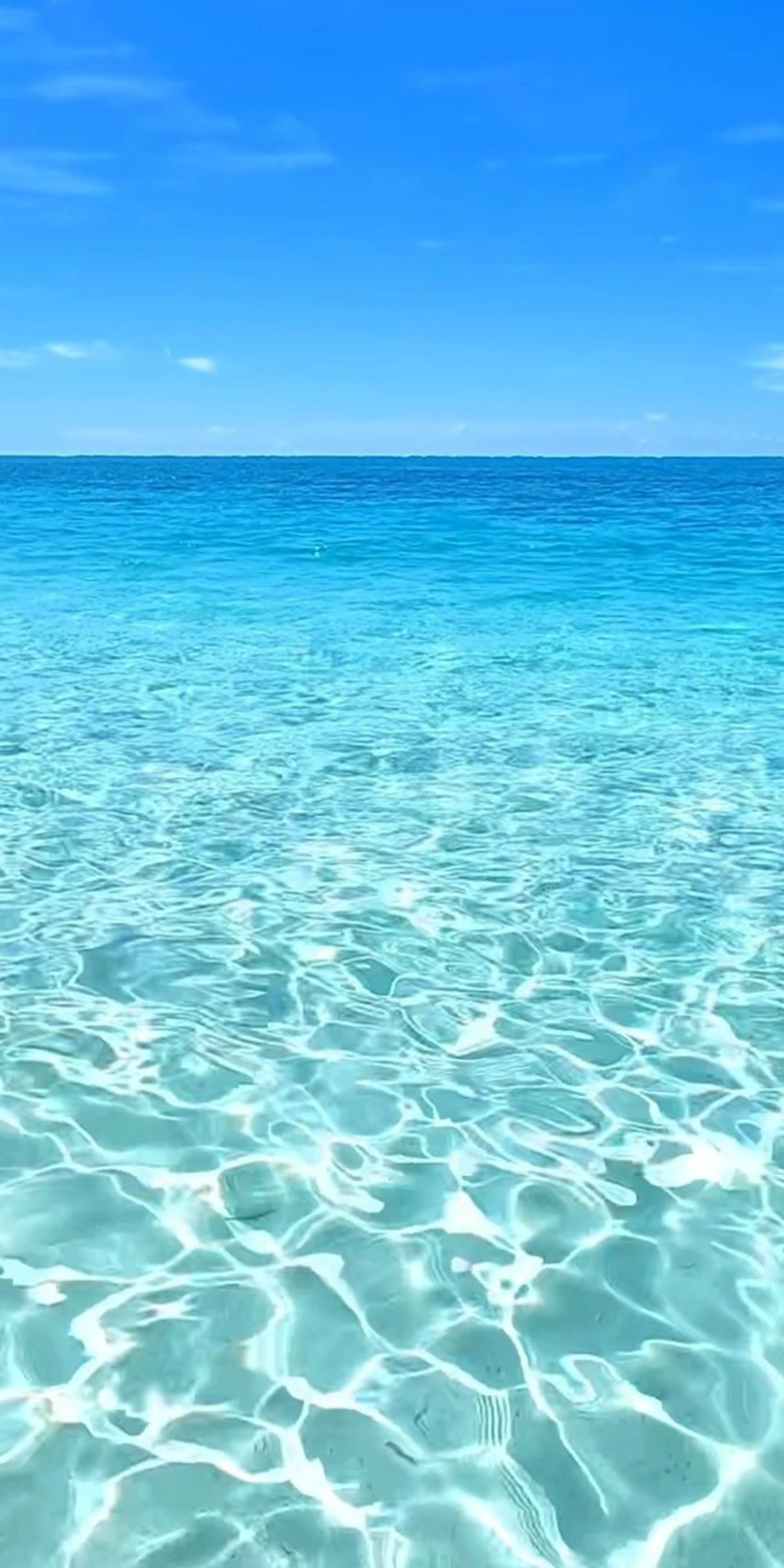 ネイル asuka 🐰のネイルデザイン