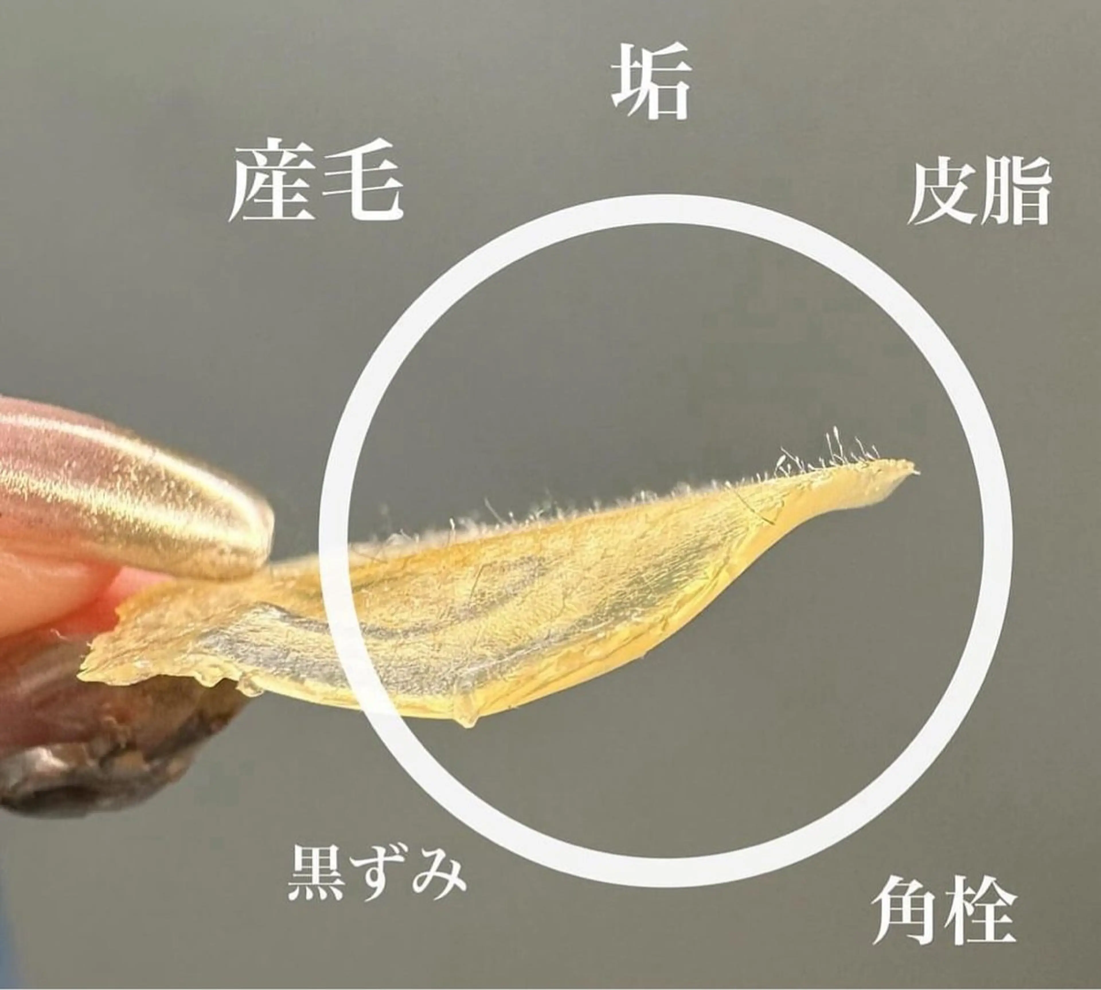 Beauty  Salon Family所属・ビューティーサロン ファミリーのエステ・リラクイメージ