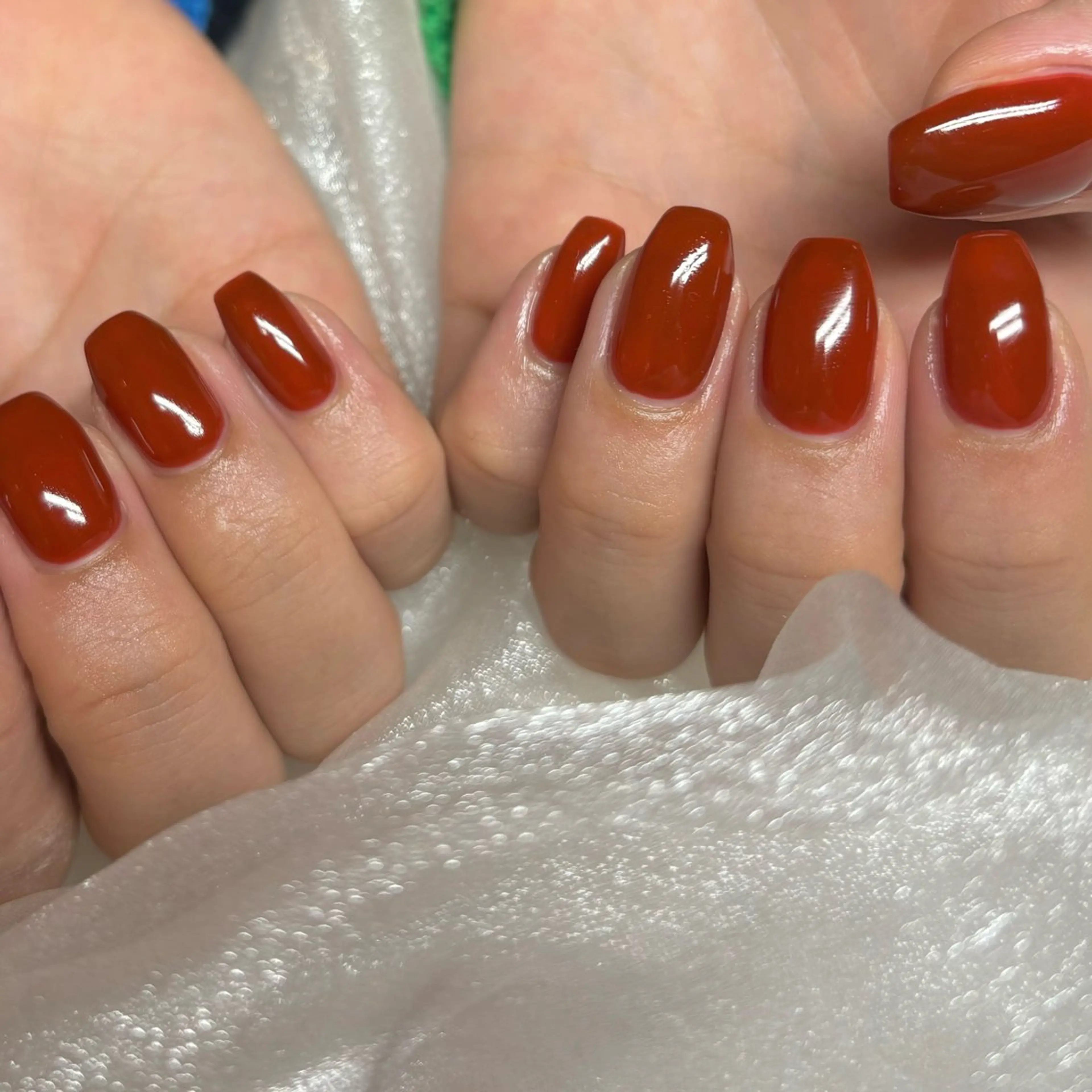 パラジェルワンカラーᡣ𐭩〖オフあり〗の写真