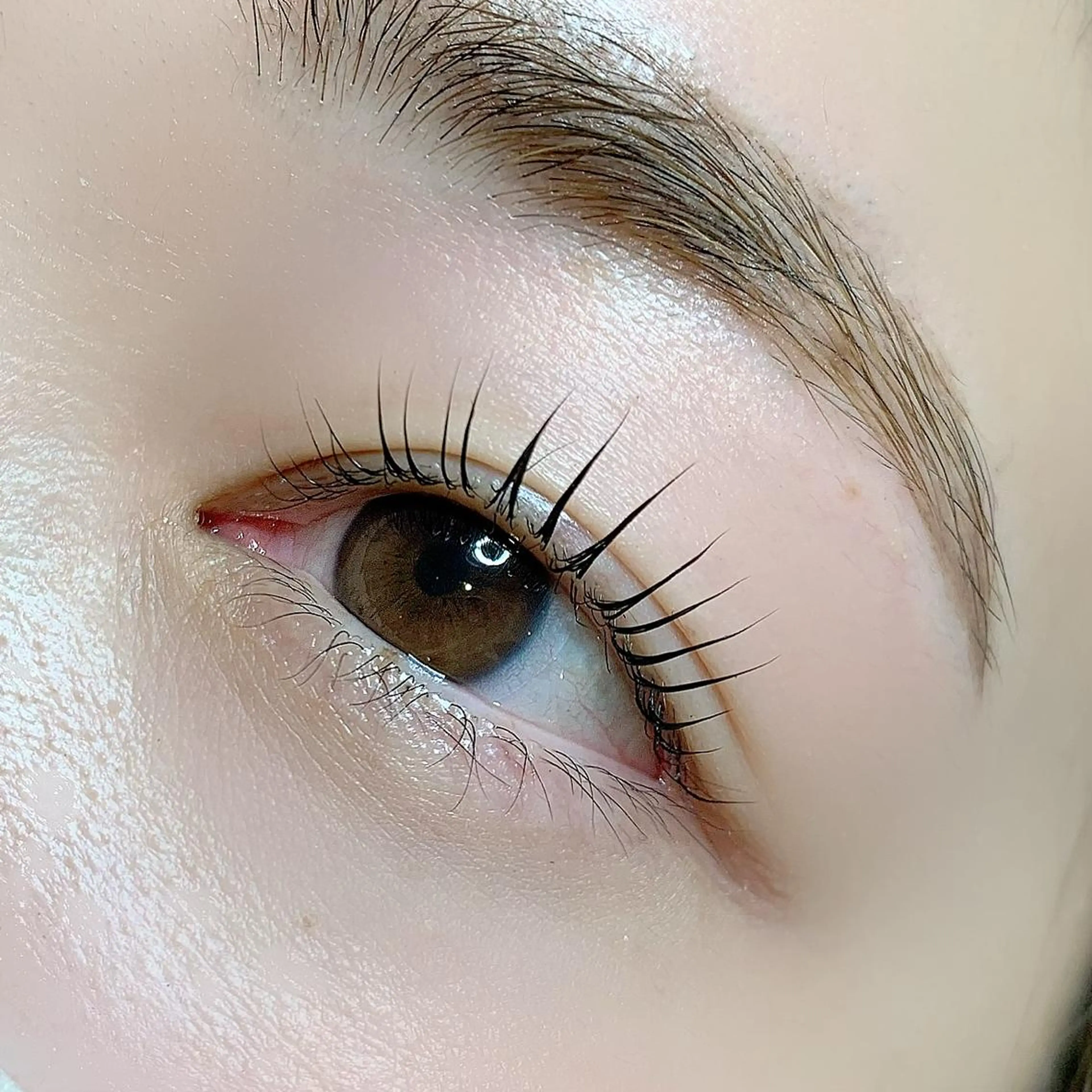 マツエク・マツパ まつげパーマ AYLASH石川 韓国風/カラエクのマツエク・マツパデザイン