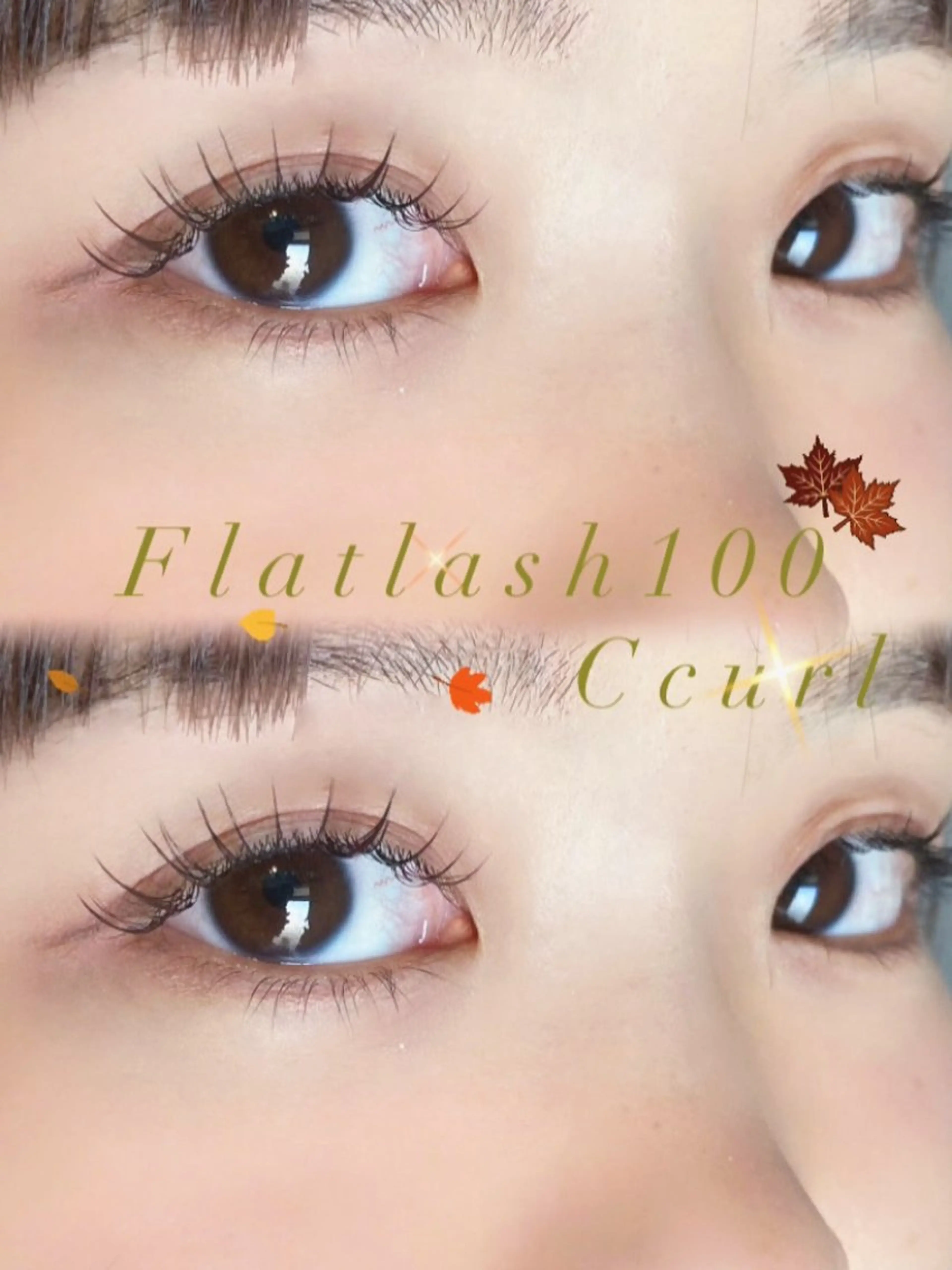 マツエク・マツパ マツエク Terrace+所属・Terrace +のマツエク・マツパデザイン