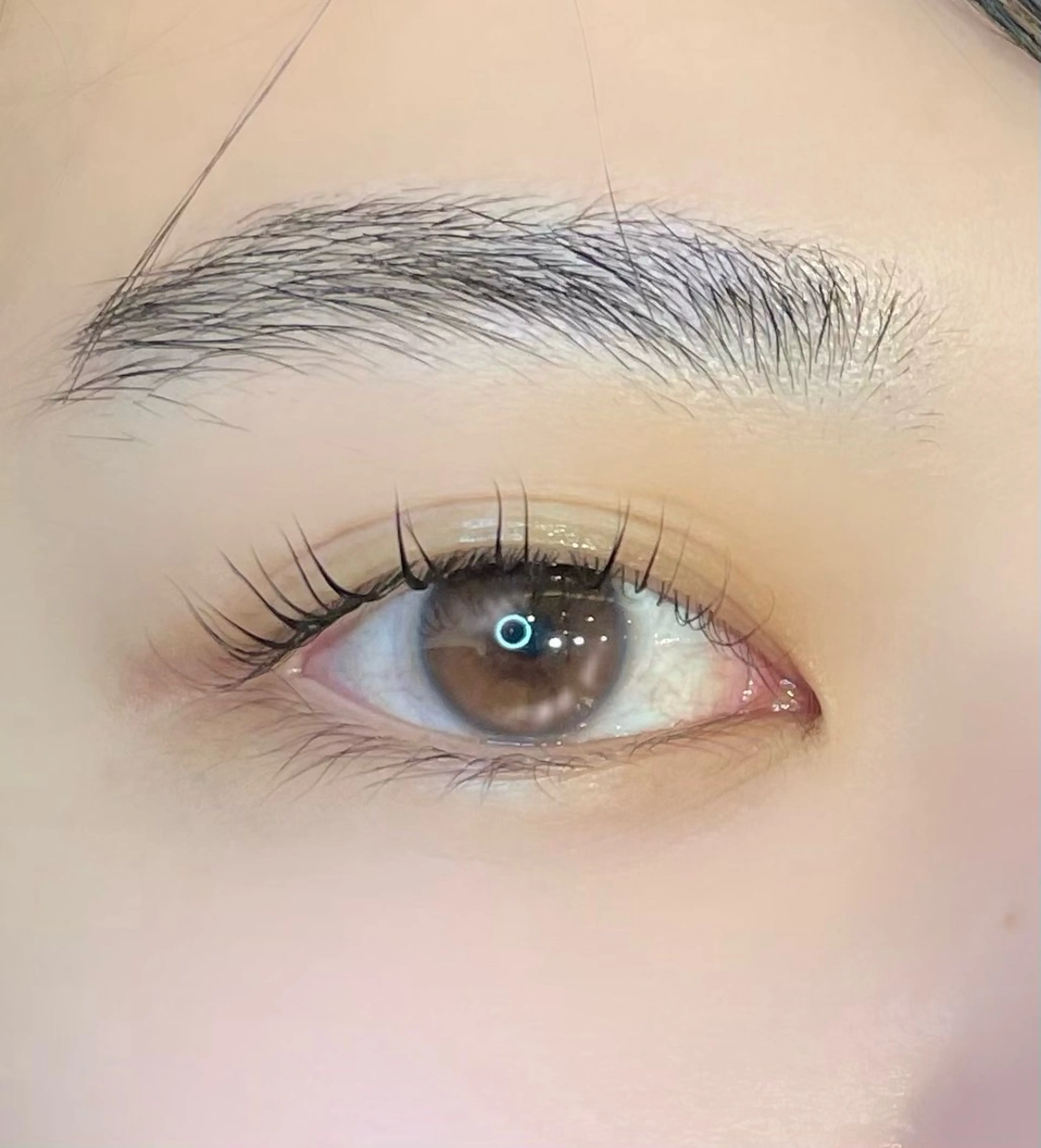 マツエク・マツパ マツパ まつパ/マツエク🤎 艶カラー/ゆり♡⃛のヘアスタイル