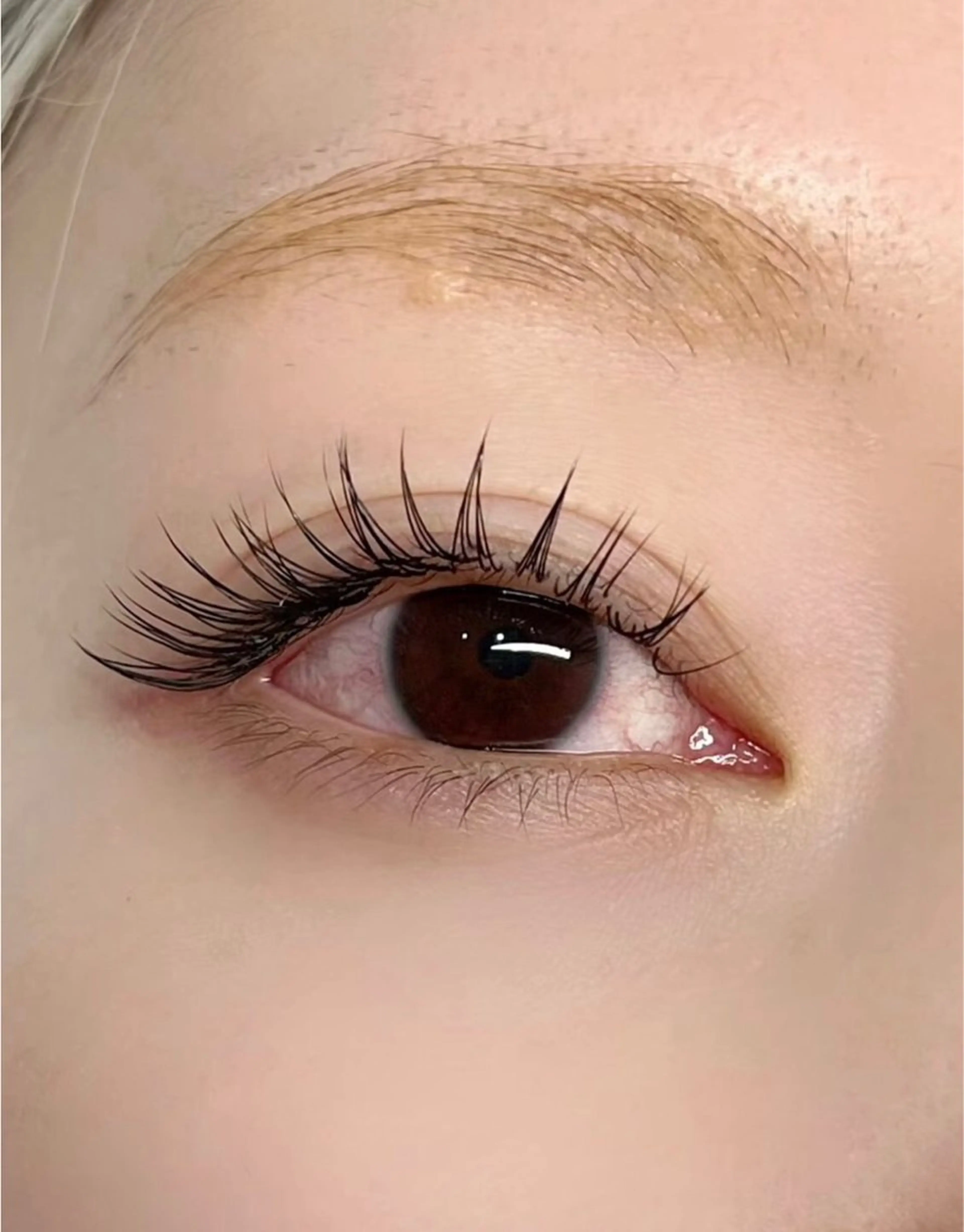 ご新規様【バインドロック80束¥4980】リピーター様￥6980の写真