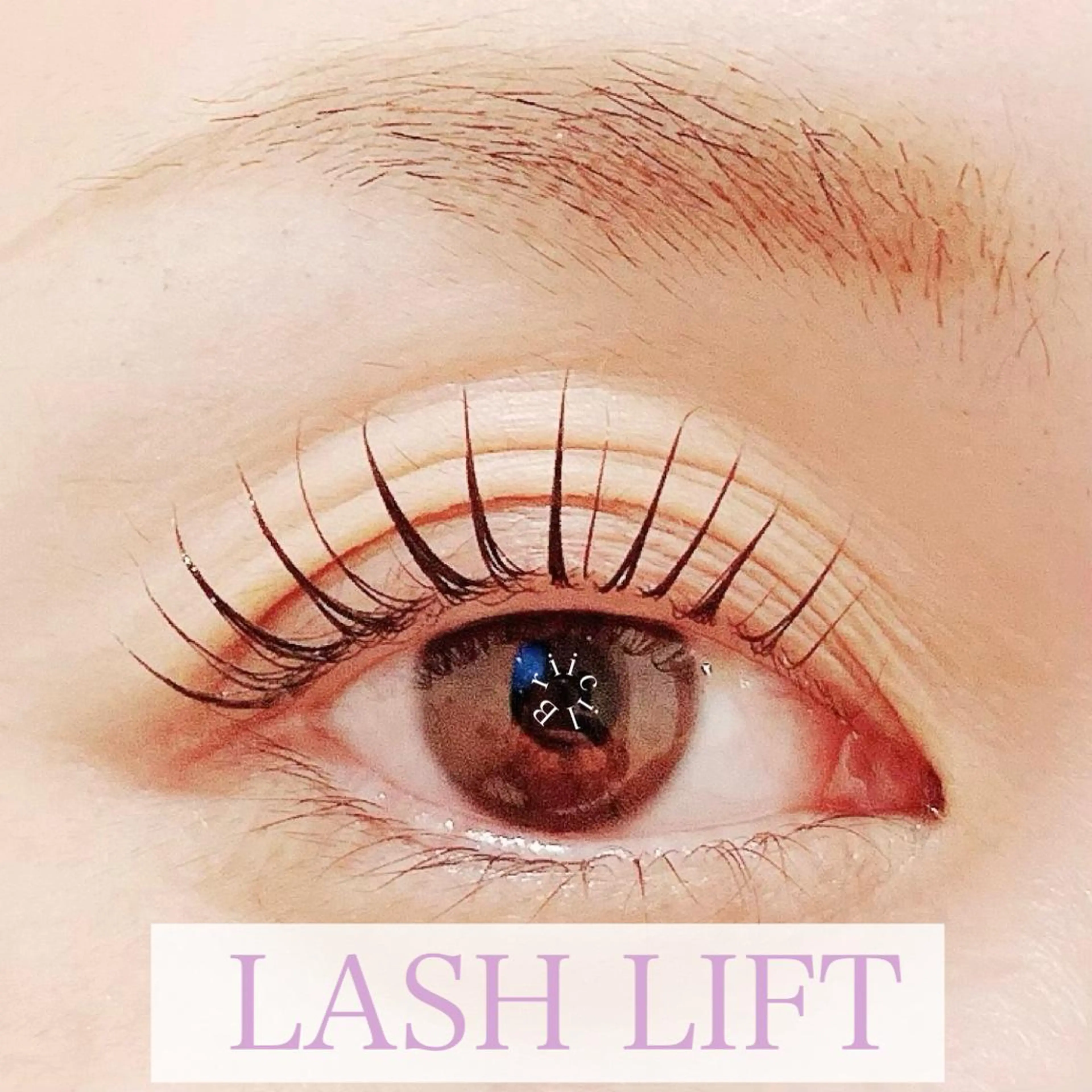 マツエク・マツパ マツパ Briicil -the home-所属・Briicil ブリーシルのマツエク・マツパデザイン