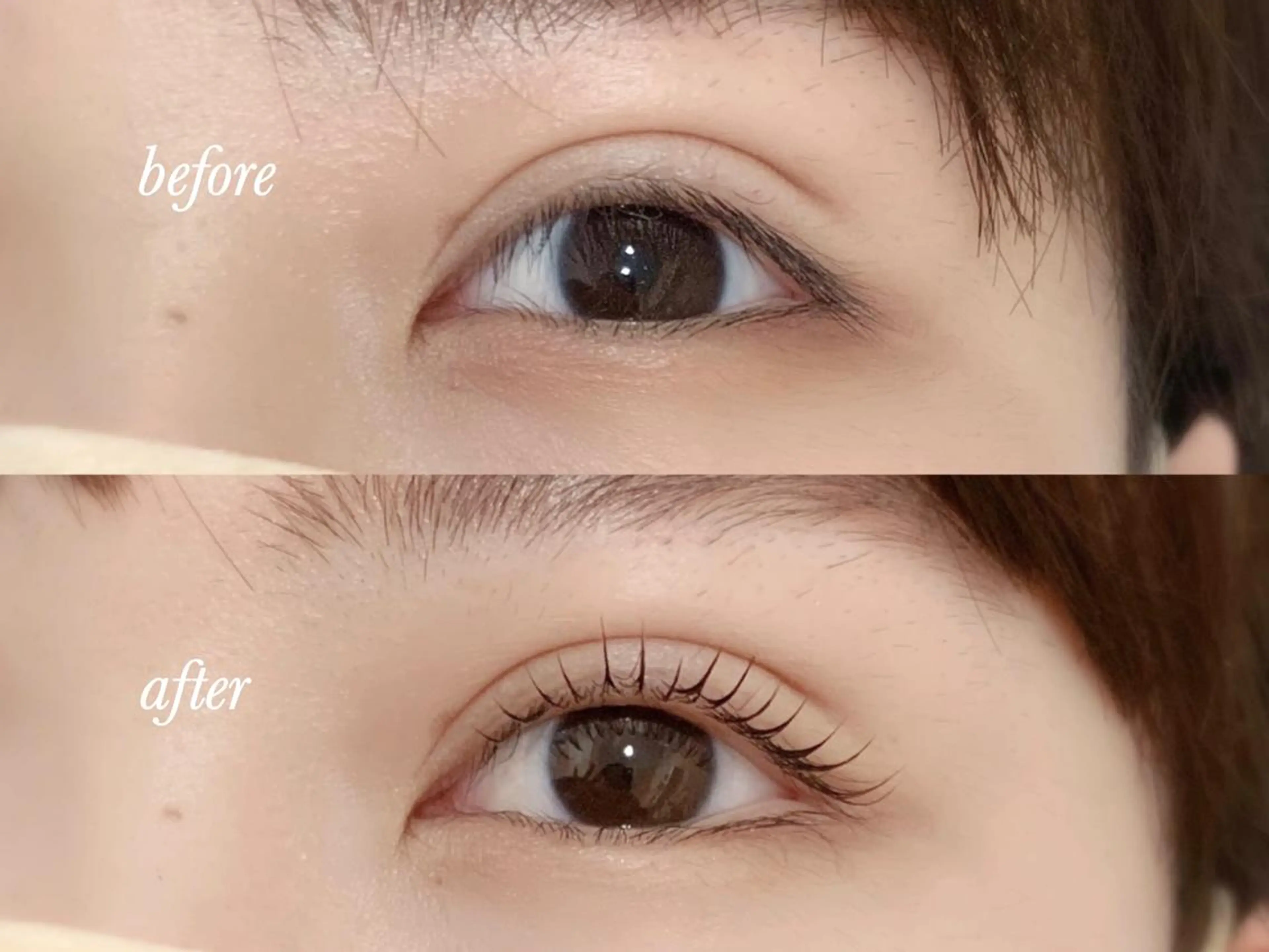 マツエク・マツパ 一重×まつ毛パーマ p's  club所属・藤田 あゆみのマツエク・マツパデザイン