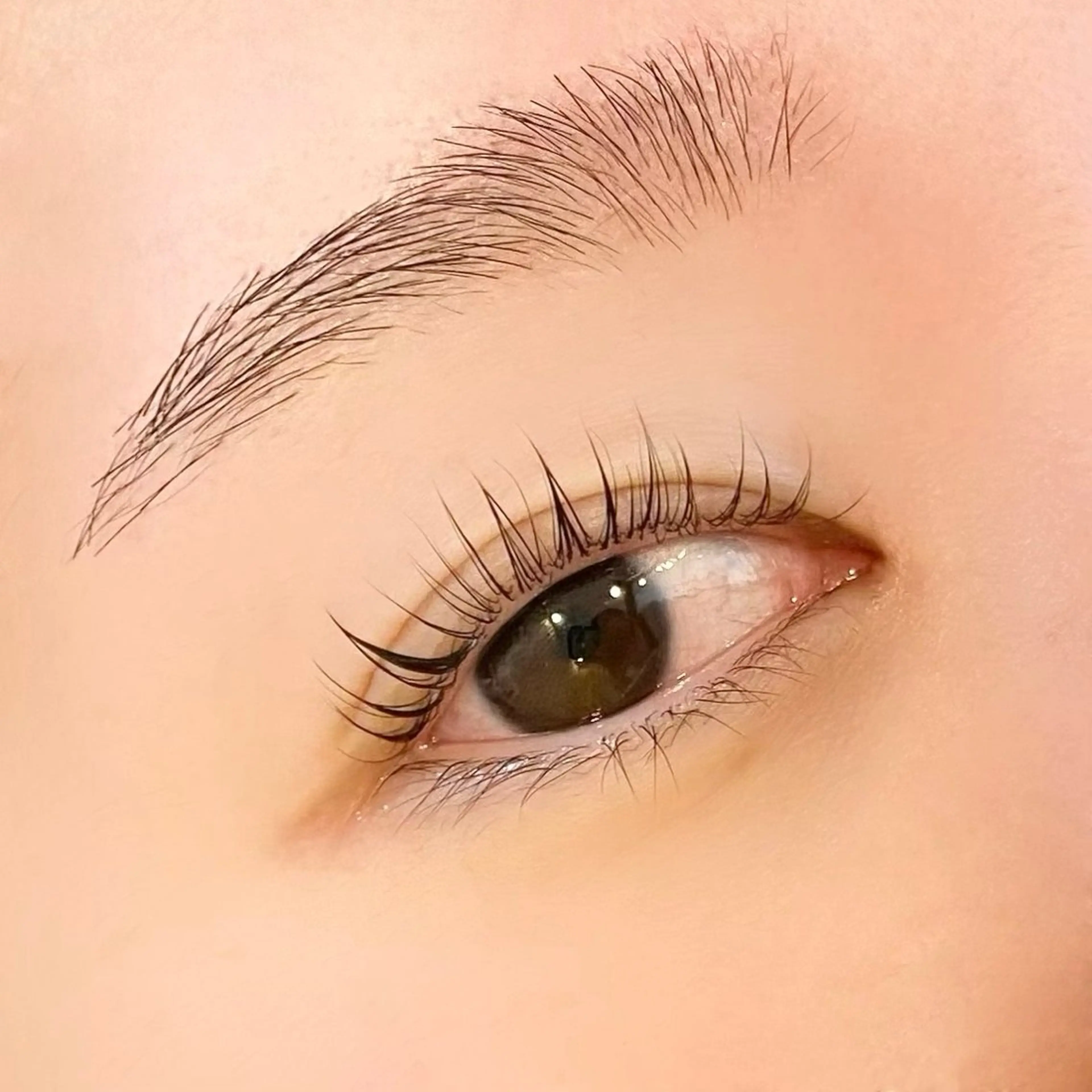 【3月限定メニュー🎀】ラッシュリフト✖️眉wax¥6,600の写真