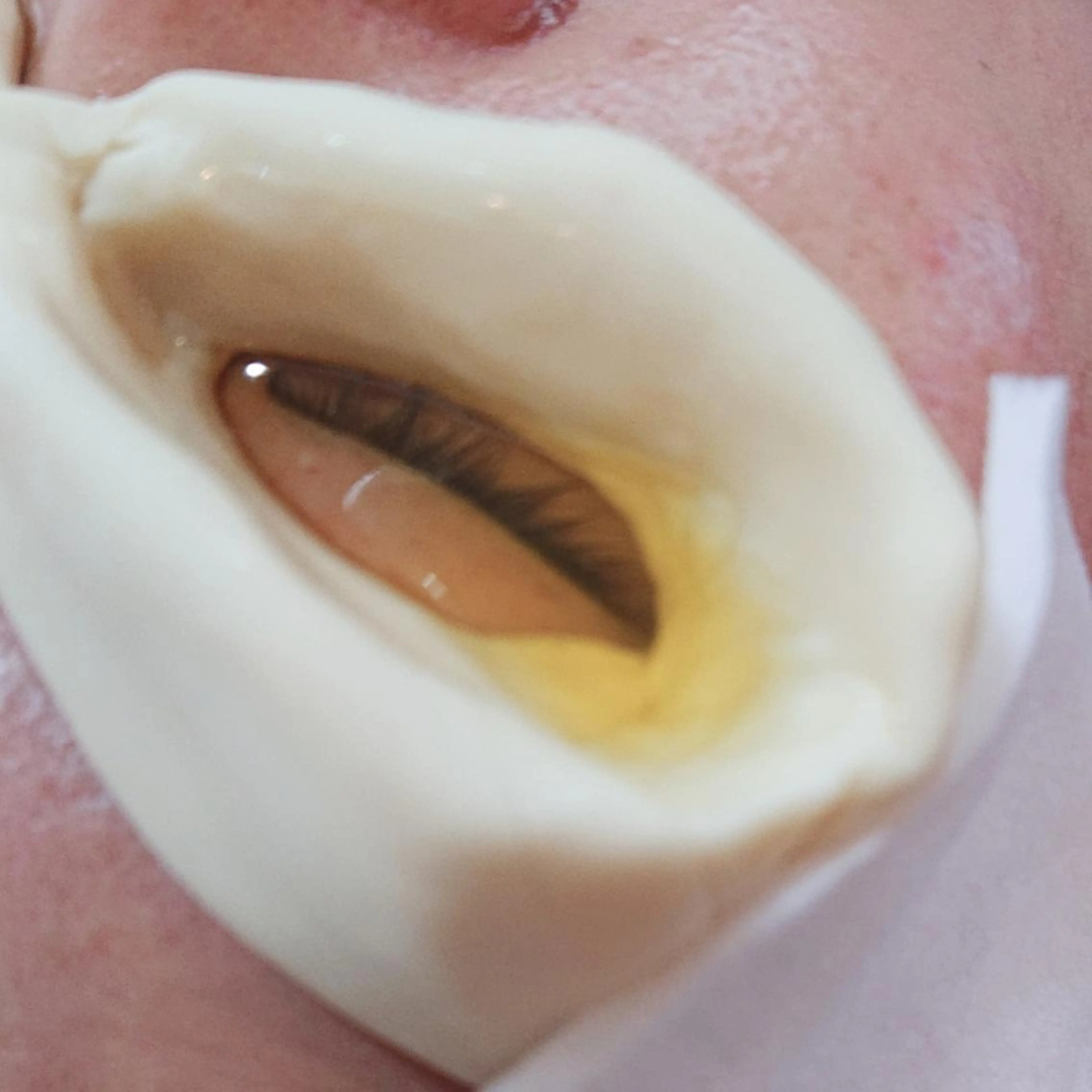 サロンプランギ ～ボディメンテナンス&エステ〜所属・サロン プランギのその他イメージ