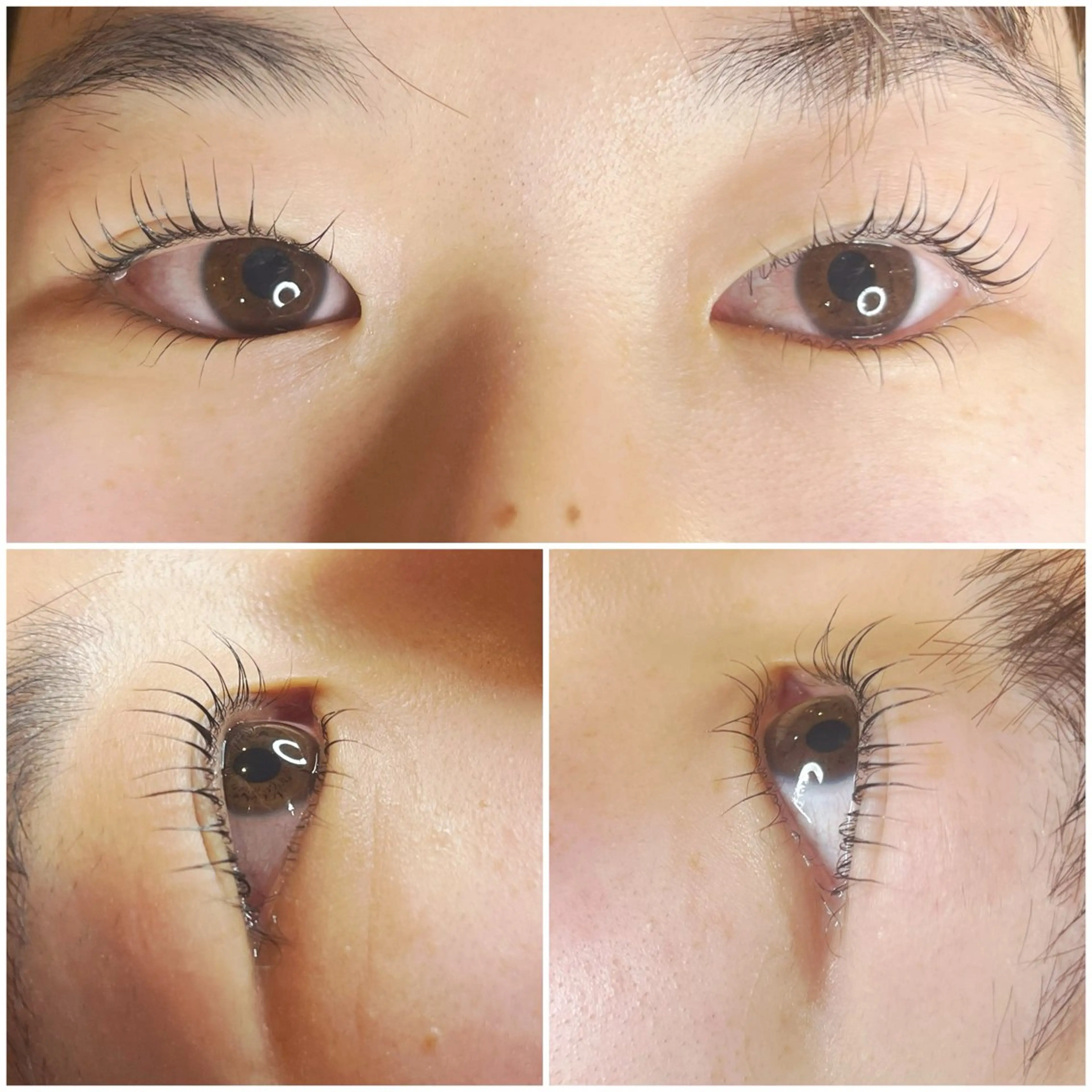 マツエク・マツパ パリジェンヌラッシュリフト Tanemoto NAKATAのマツエク・マツパデザイン