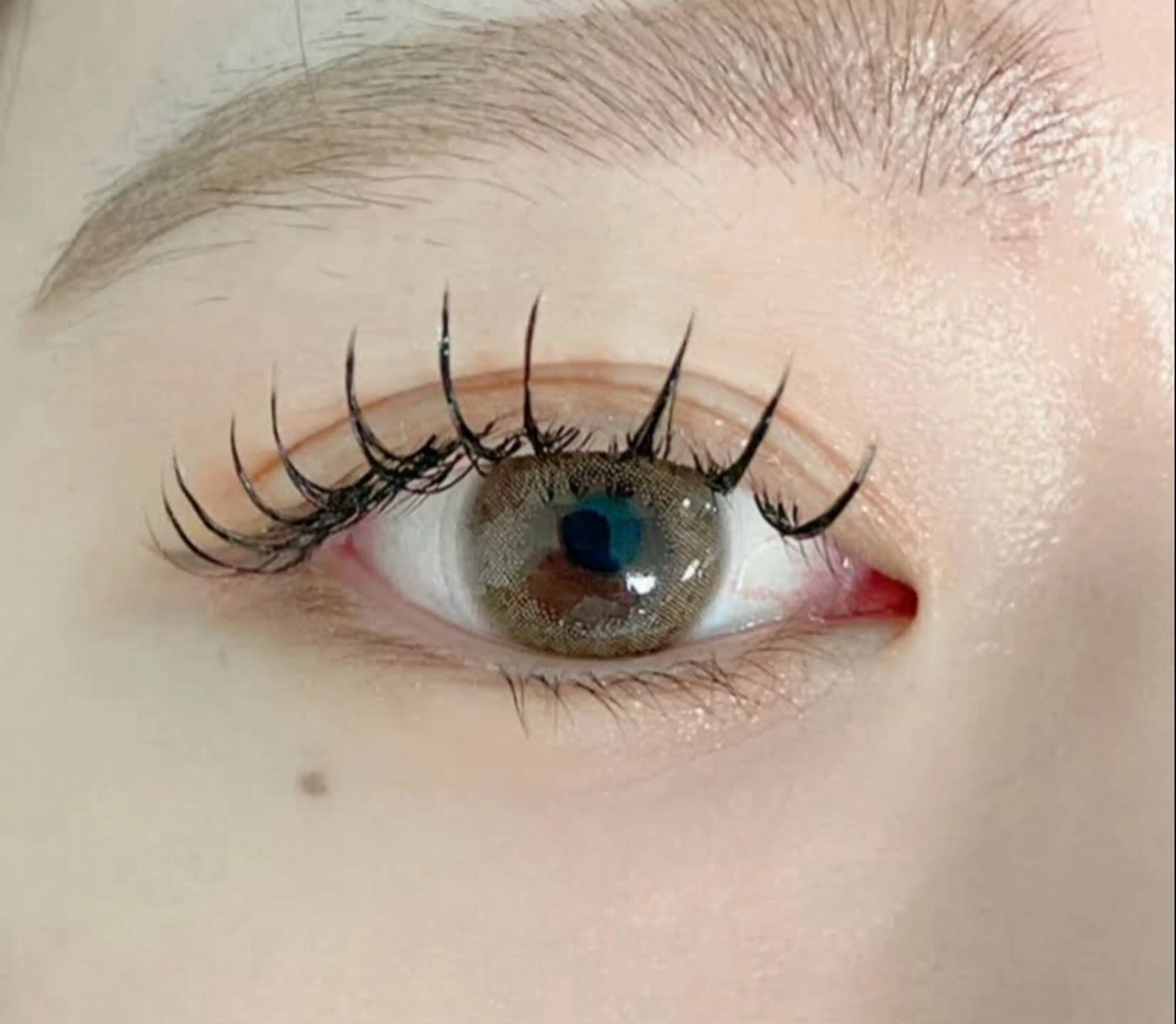 💛LEDエクステ💛⚠️140本オフなし⚠️90分の写真