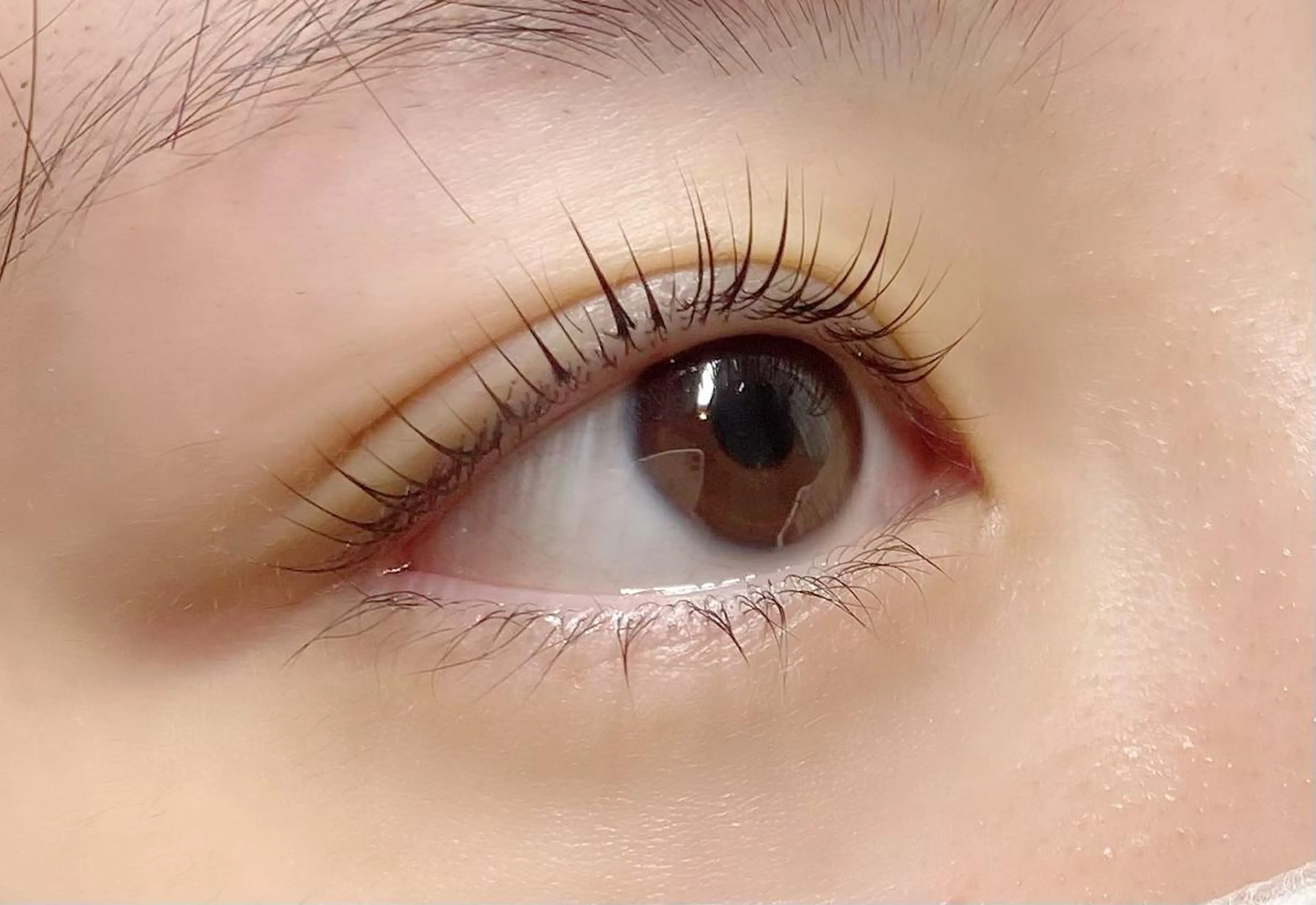 マツエク・マツパ CITRON ⭐︎のマツエク・マツパデザイン