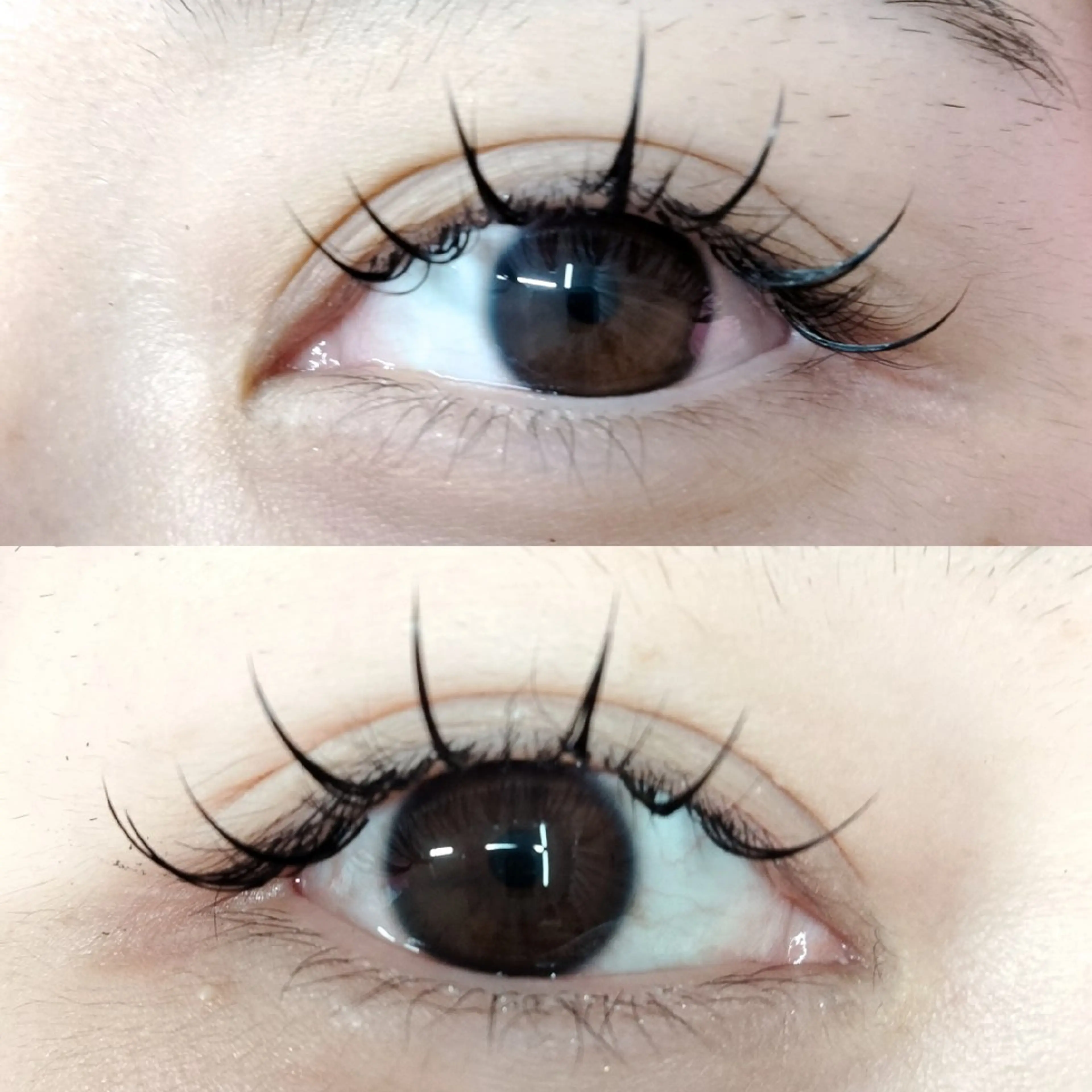 マツエク・マツパ マツエク foi by eyeartistsのマツエク・マツパデザイン