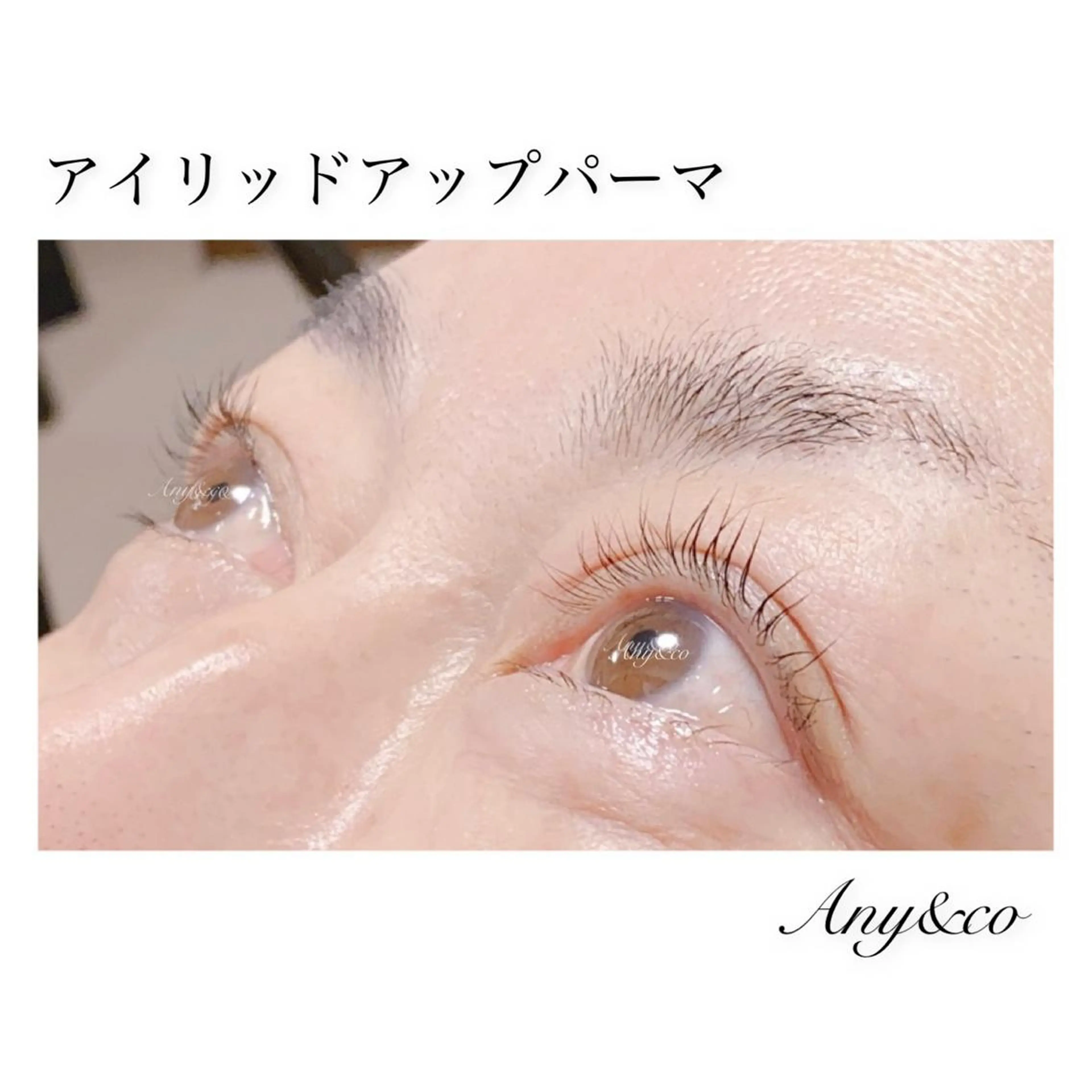 マツエク・マツパ アイリッドアップパーマ Any&co 【エニコ】のマツエク・マツパデザイン